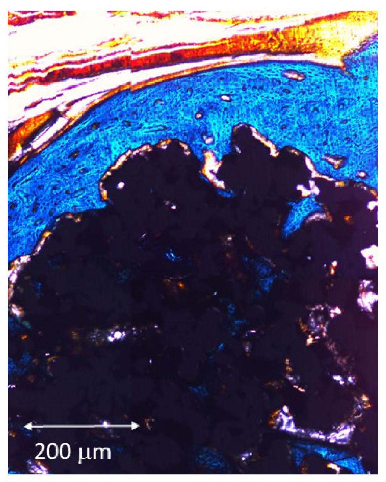 Metals 12 00327 g006