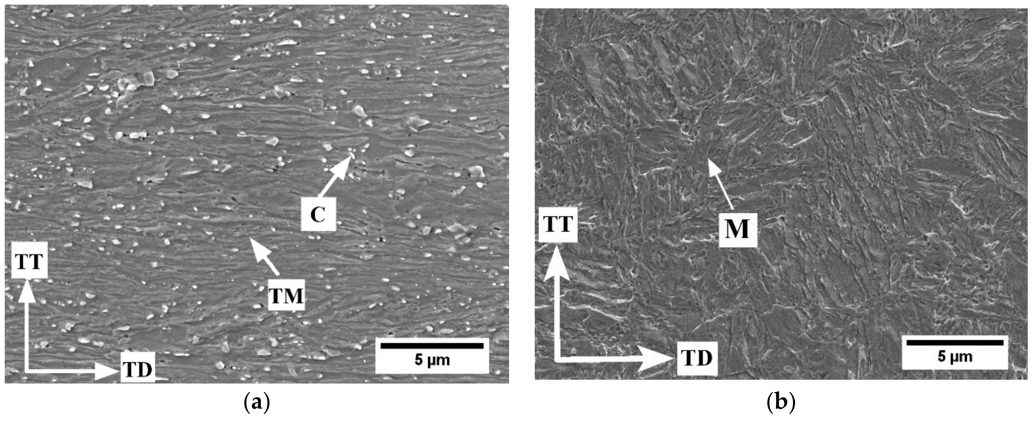 Metals 12 00356 g003