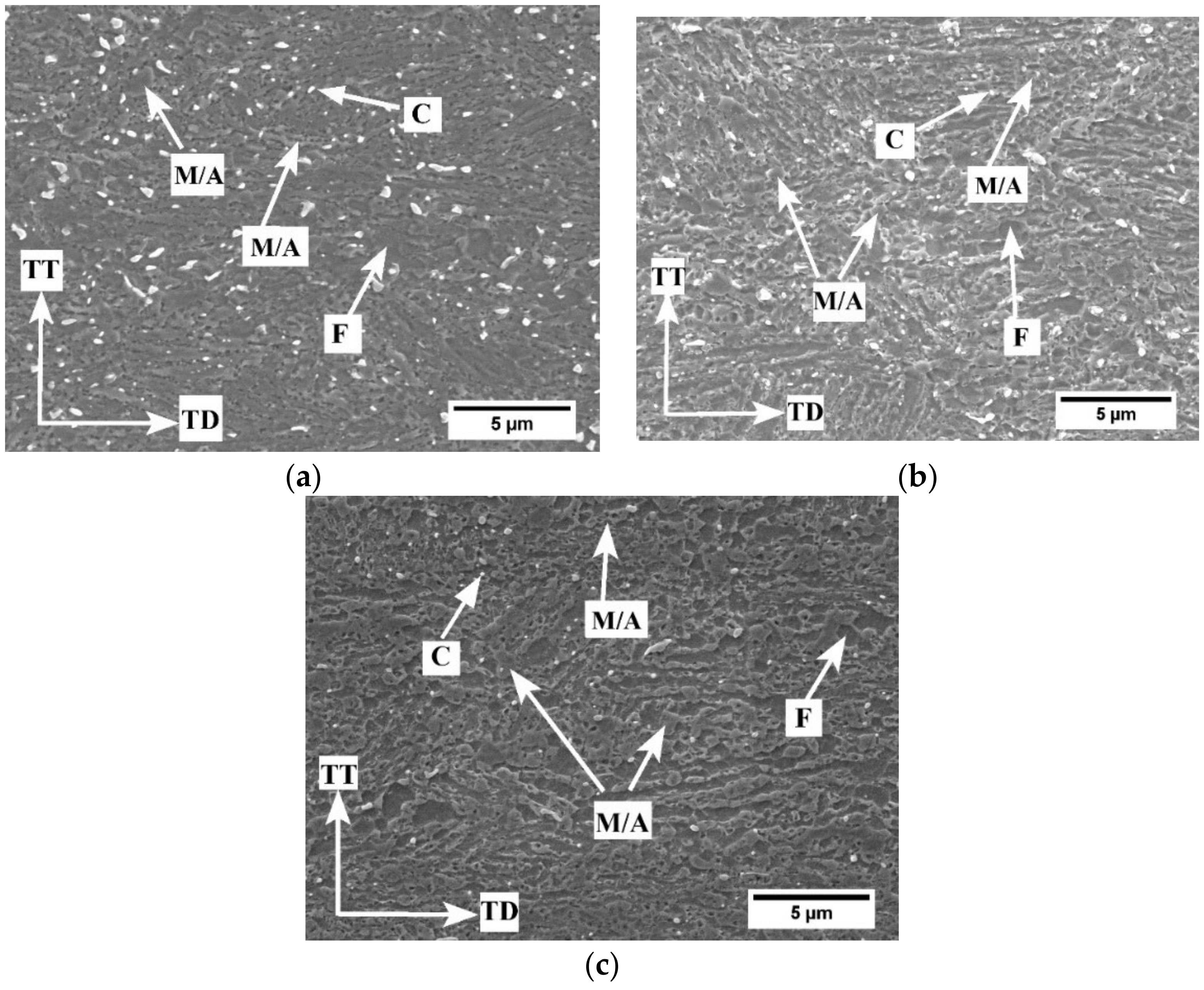 Metals 12 00356 g007