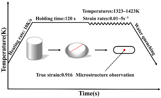 A needle-like covalent organic framework with highly