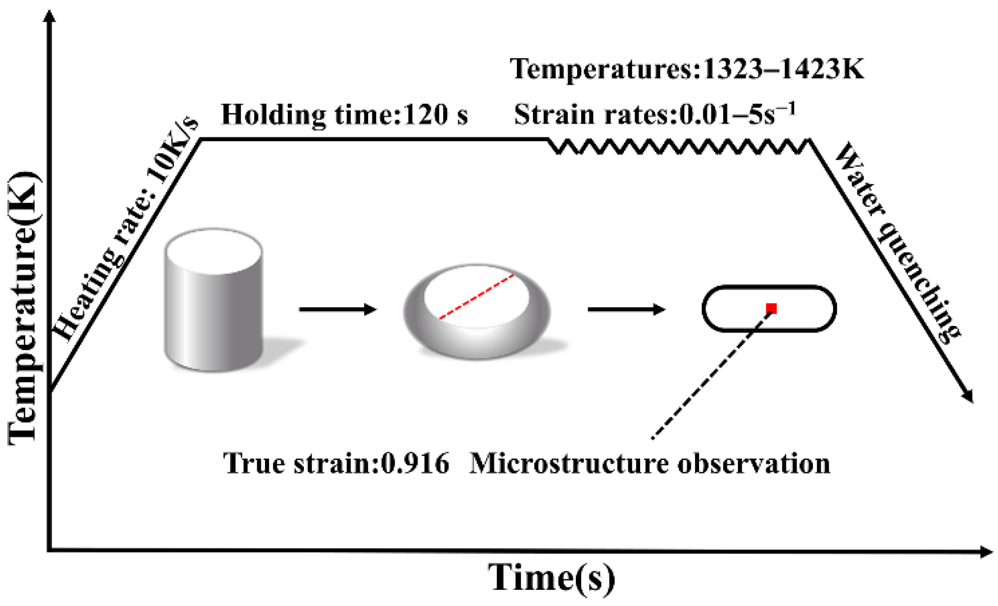 Metals | Free Full-Text | Microstructure Analysis and Segmented 