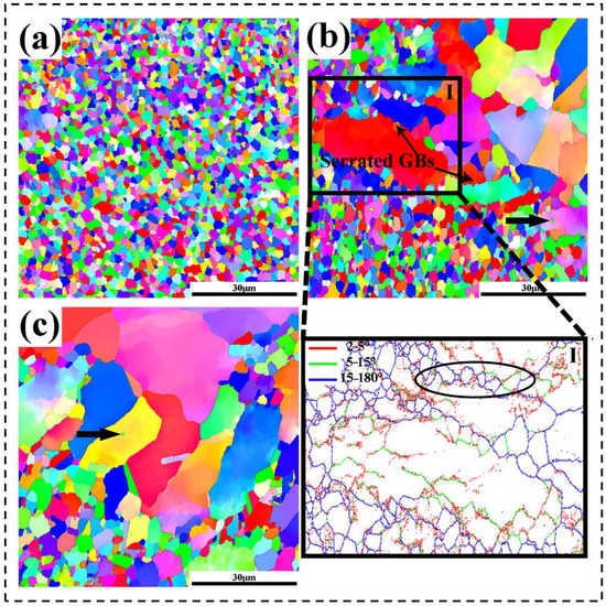 Metals | Free Full-Text | Microstructure Analysis and Segmented 