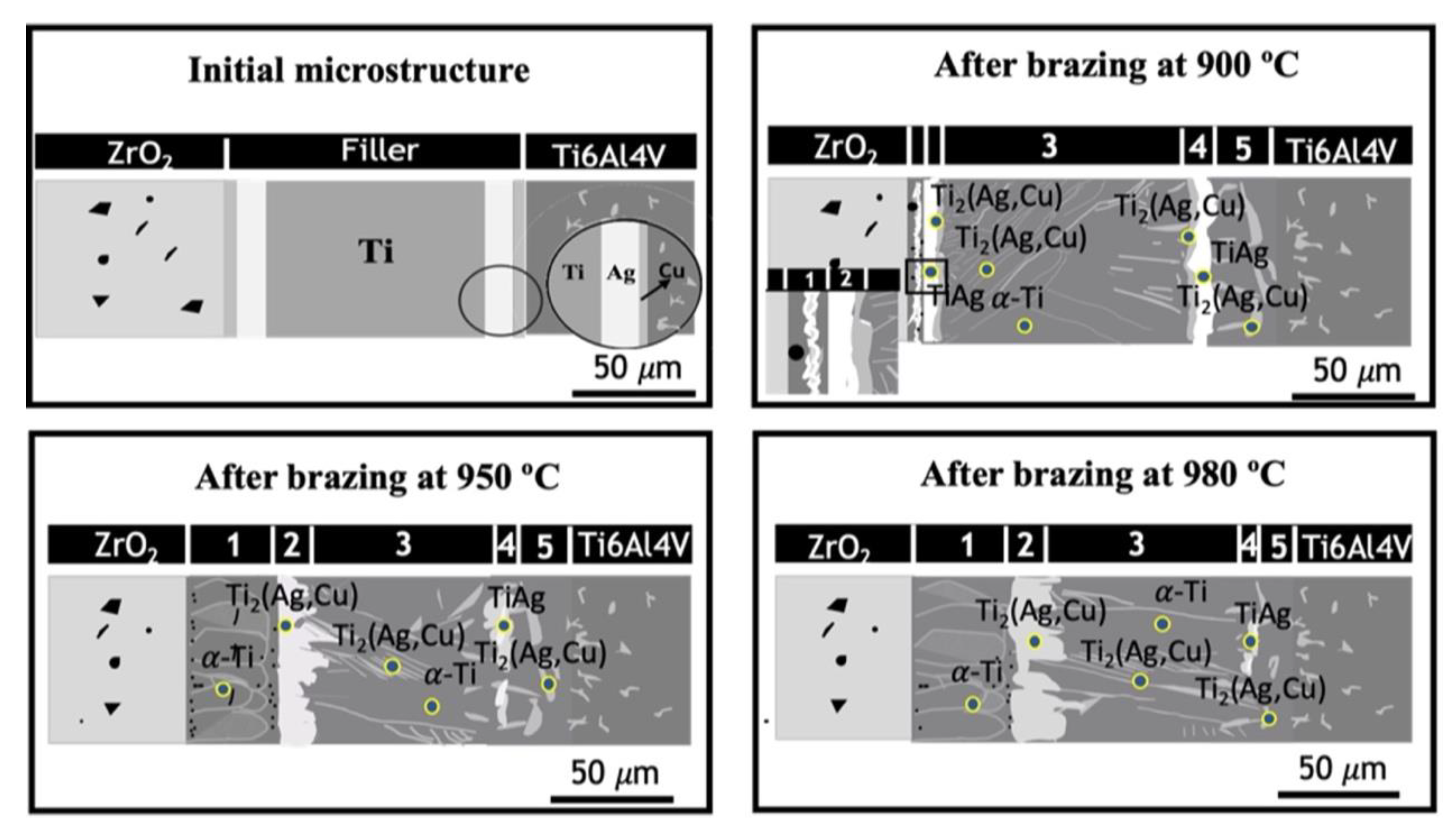 Metals 12 00358 g006 550