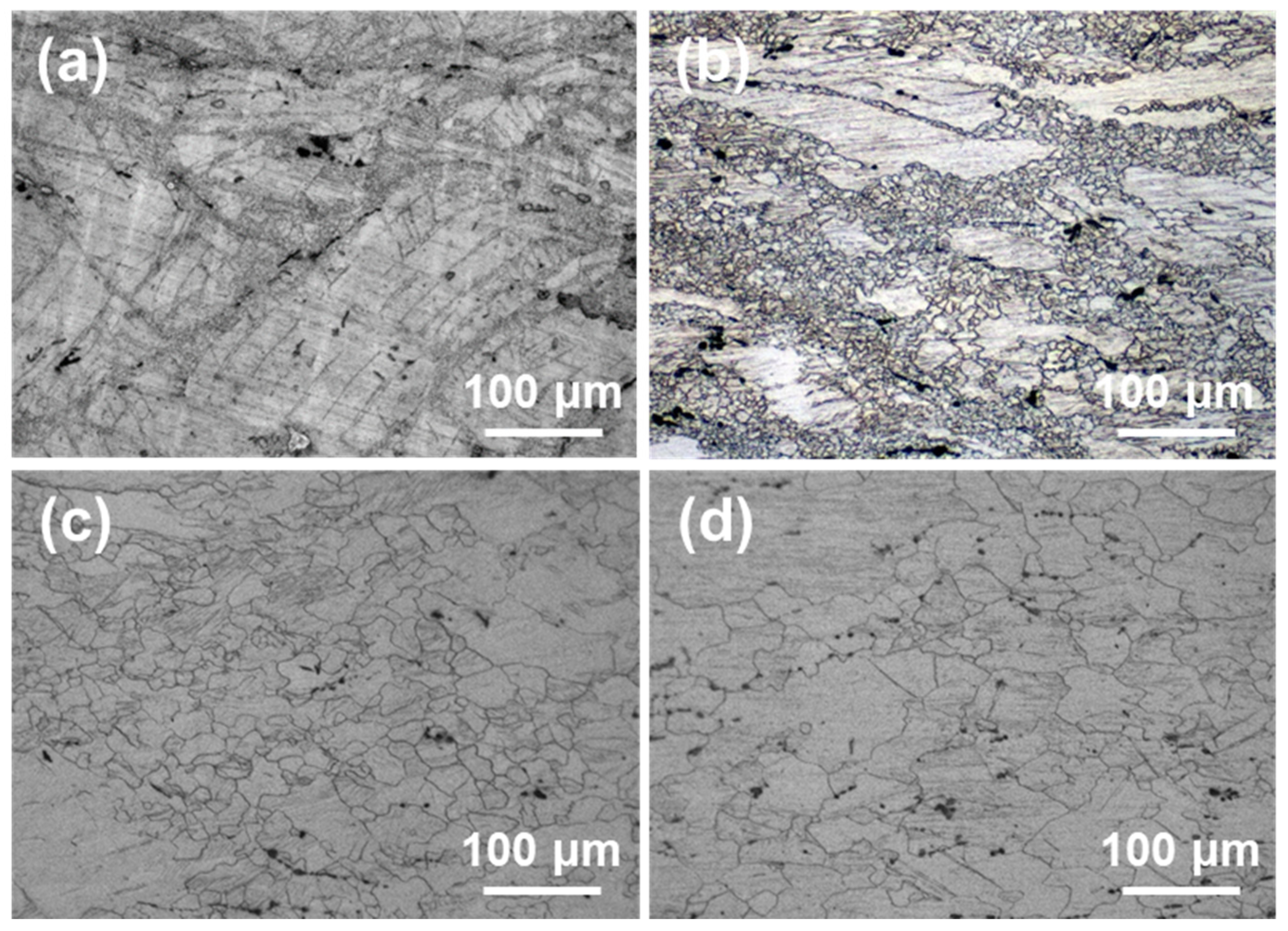 Metals 12 00364 g007 550