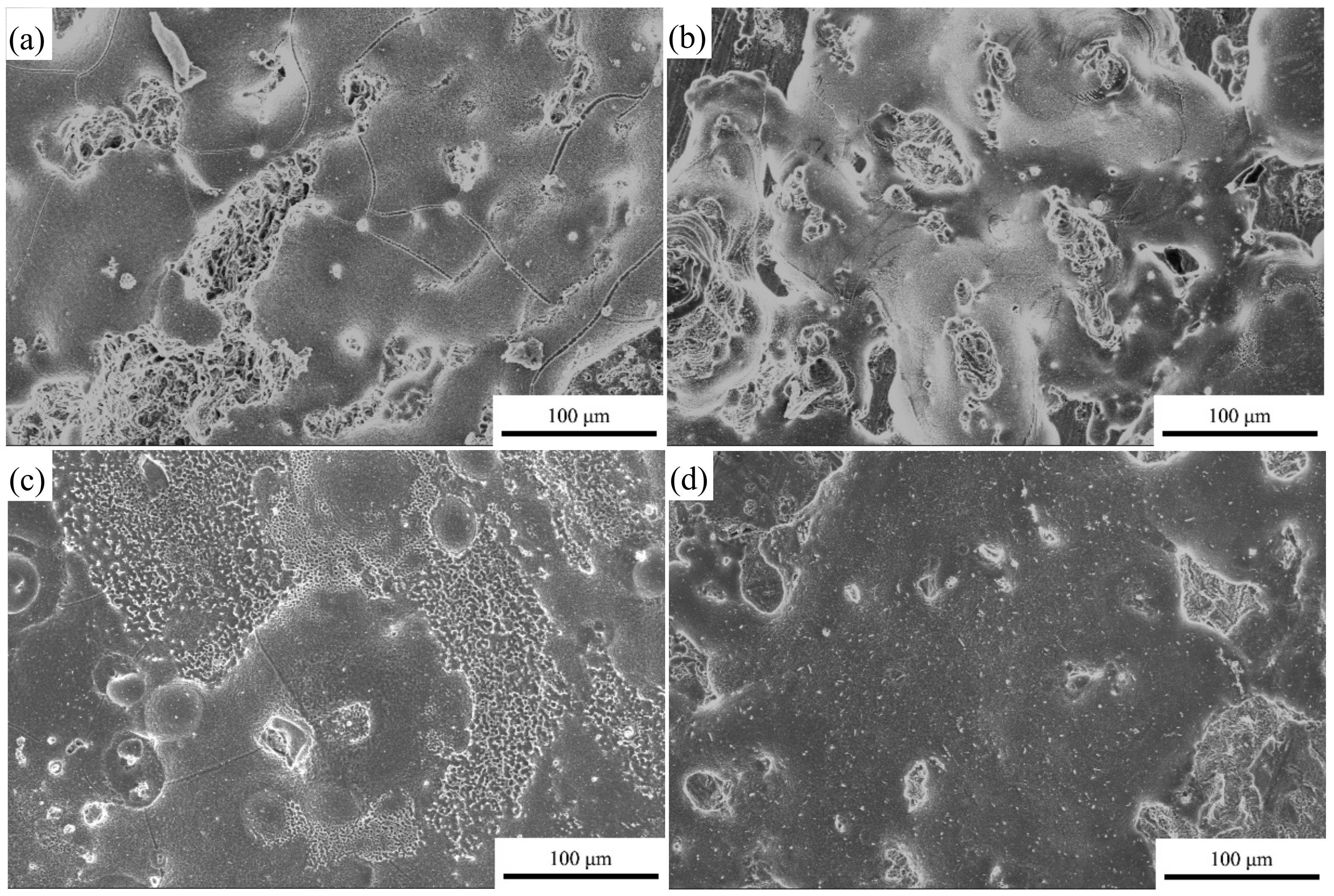 Metals 12 00365 g005 550