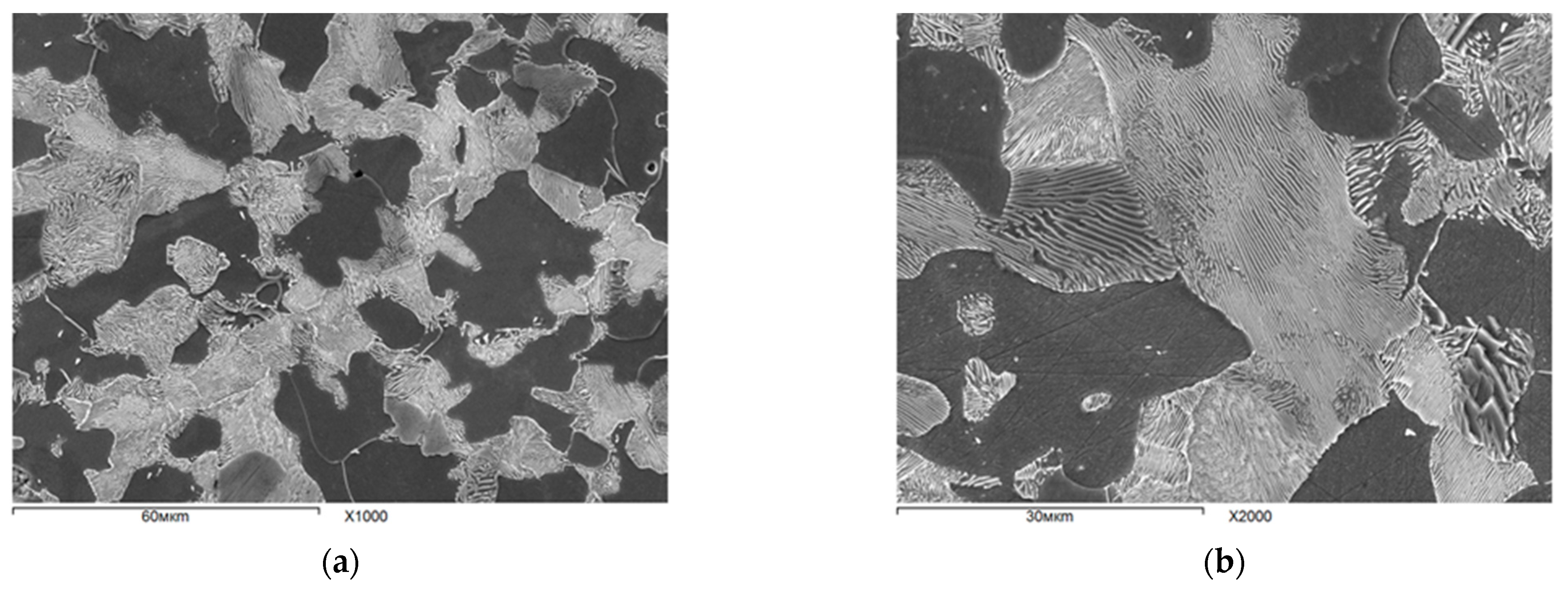 Metals 12 00366 g001 Metals 12 00366 g001