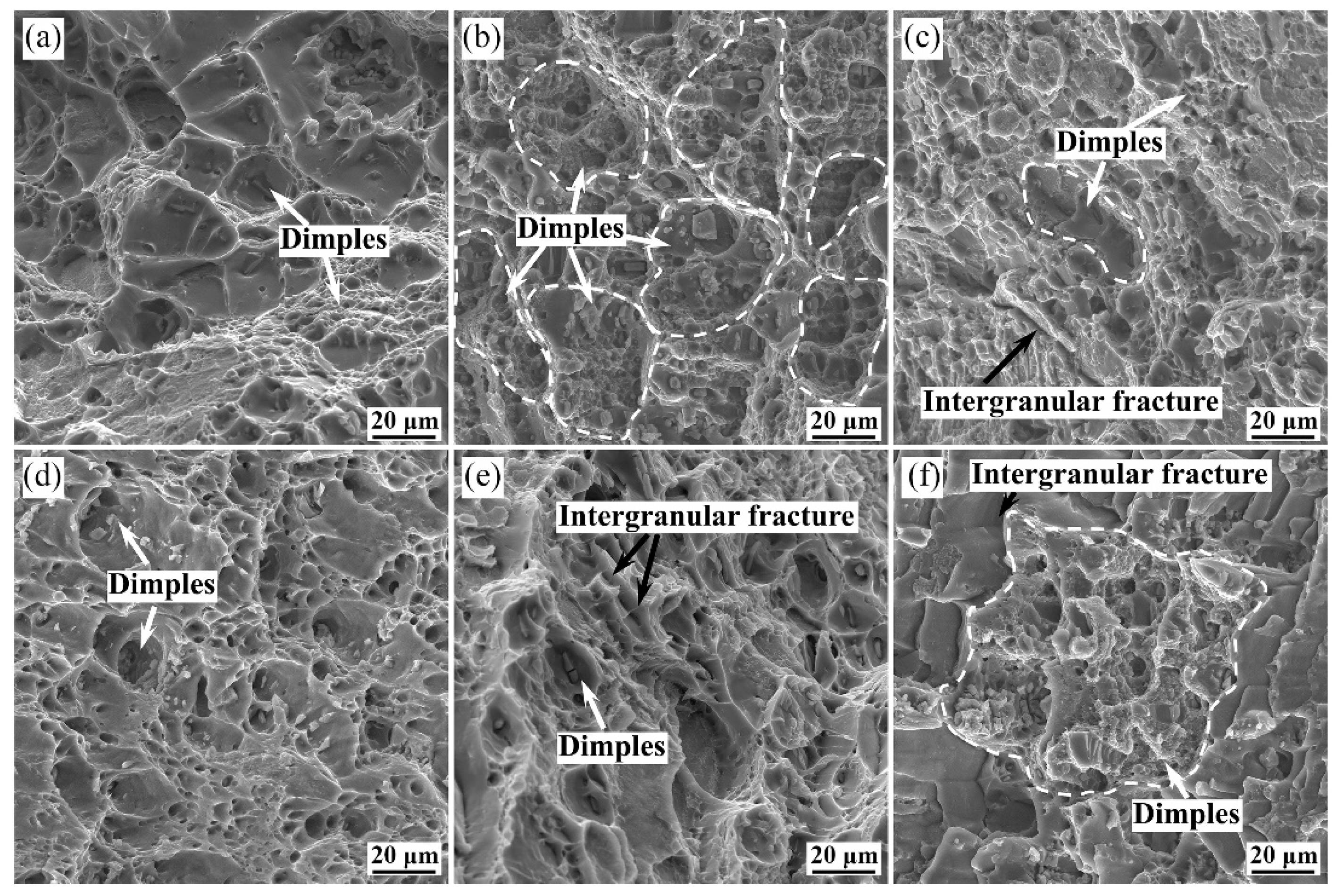 Metals 12 00374 g003