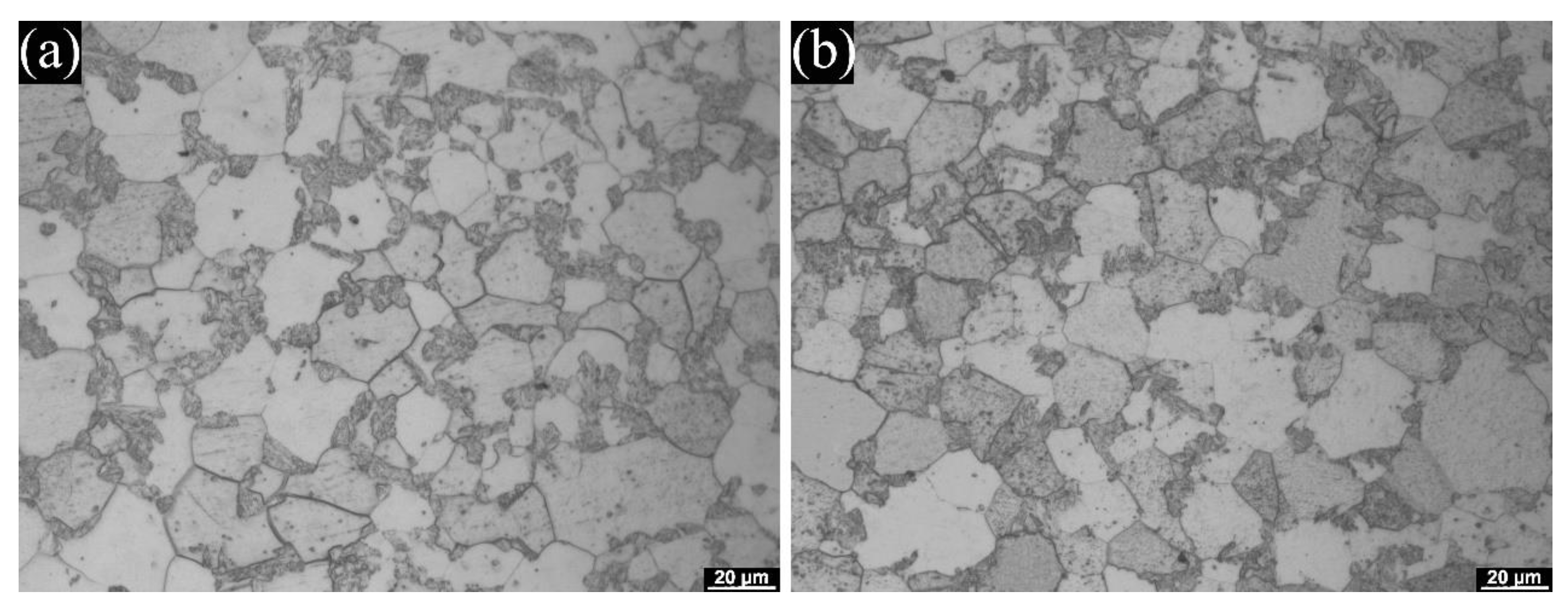 Metals 12 00382 g010