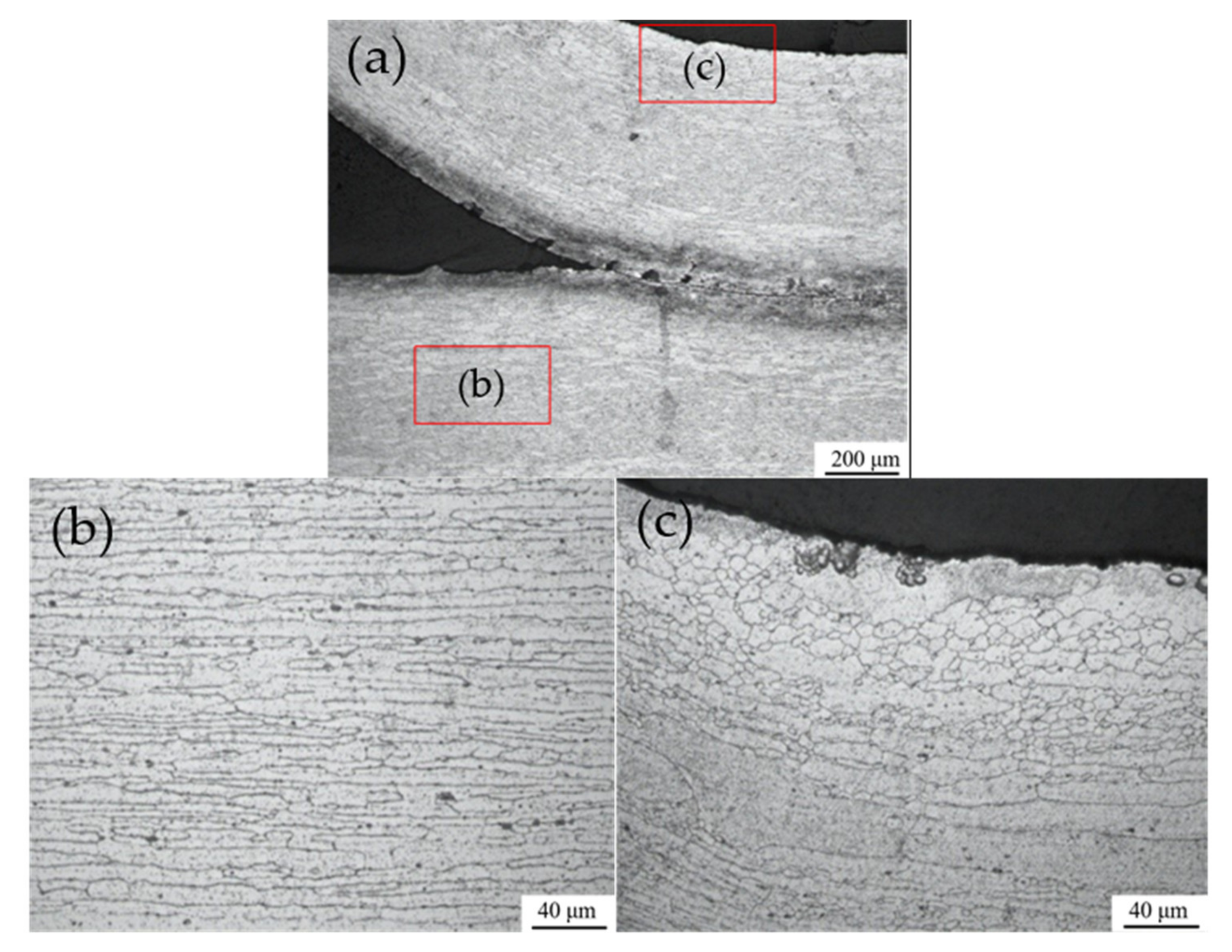 Metals 12 00389 g008 550