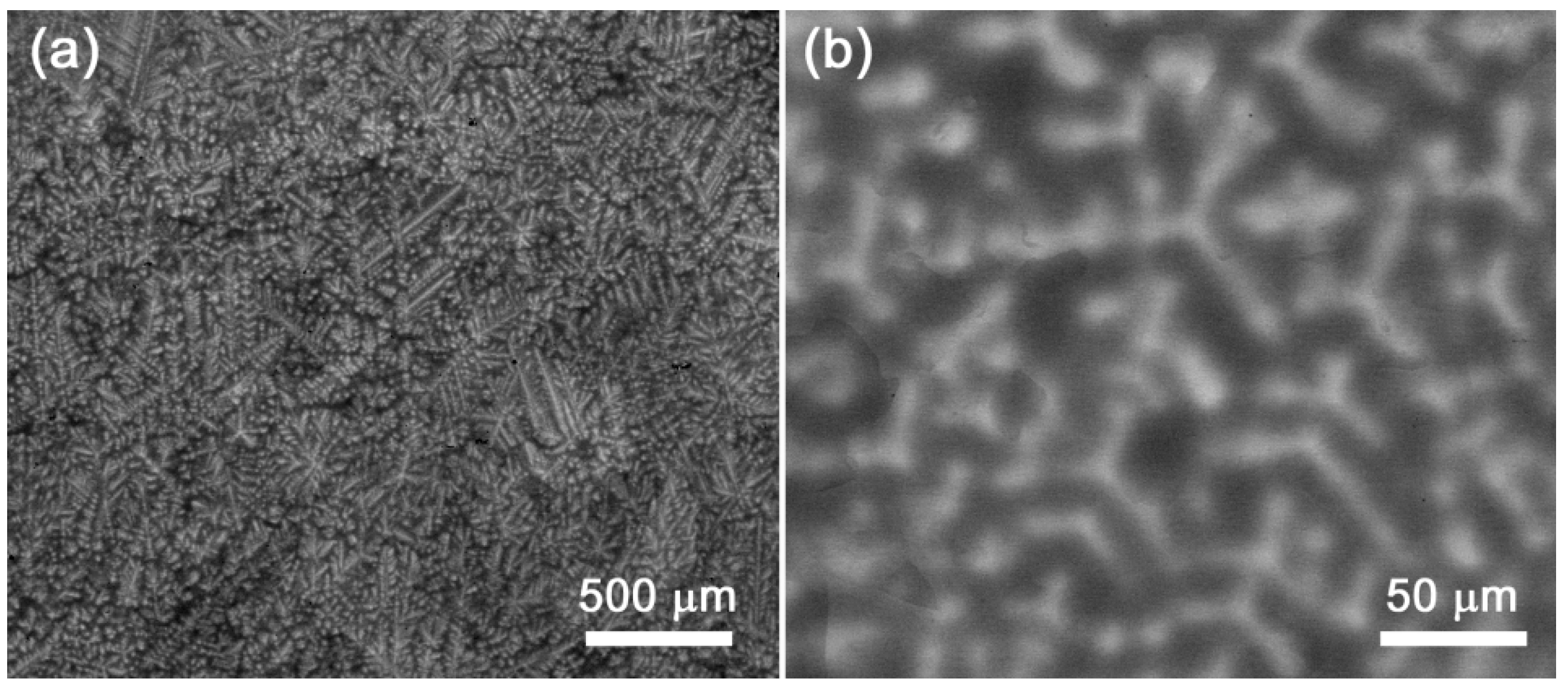 Metals 12 00394 g004 550