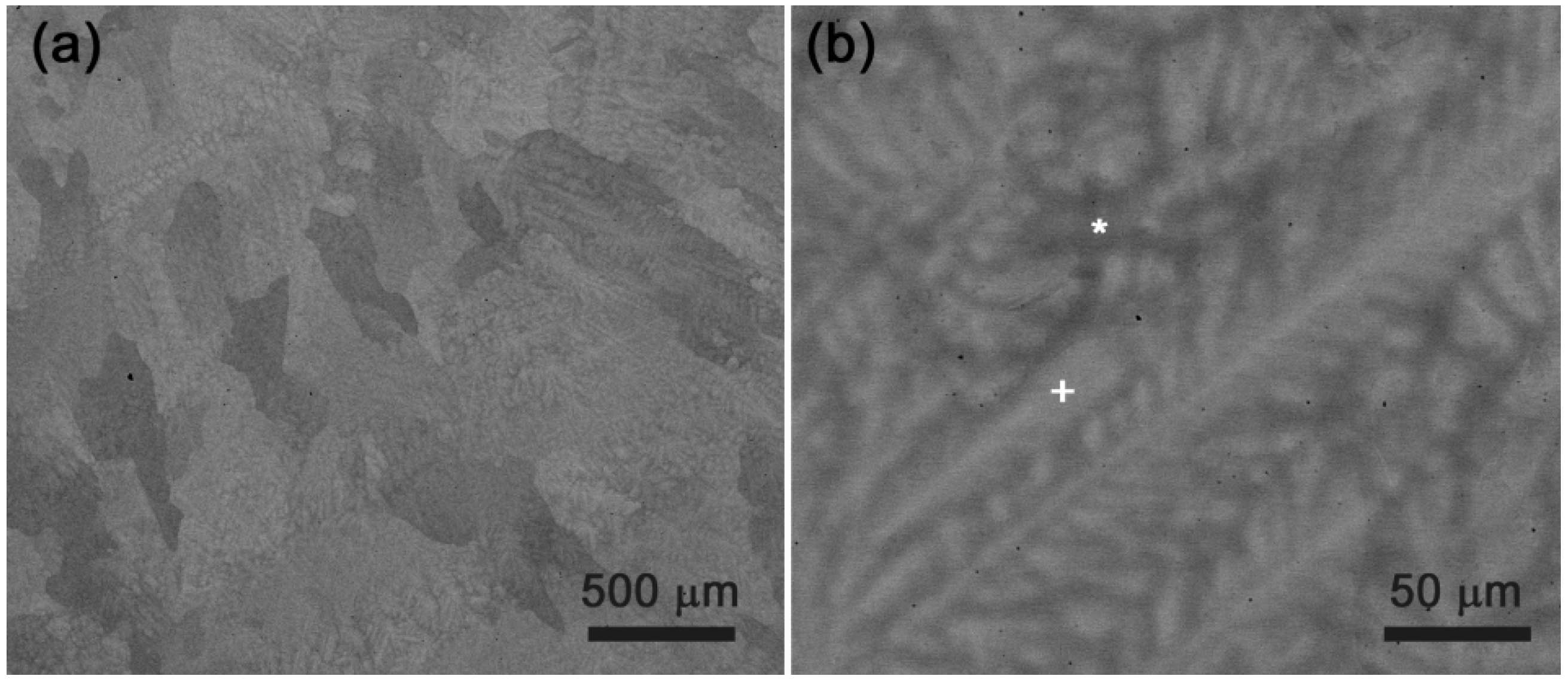 Metals 12 00394 g006 550