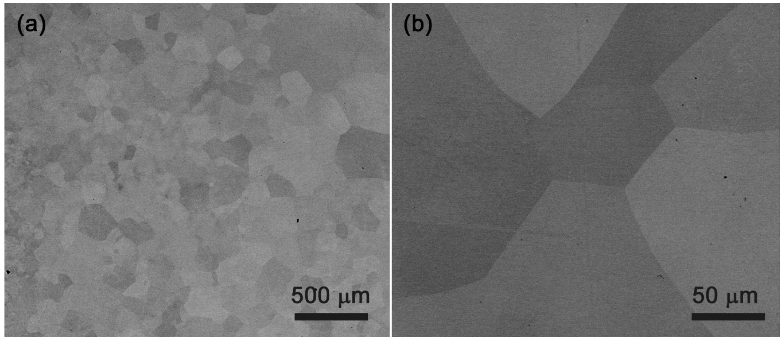 Metals 12 00394 g009 550