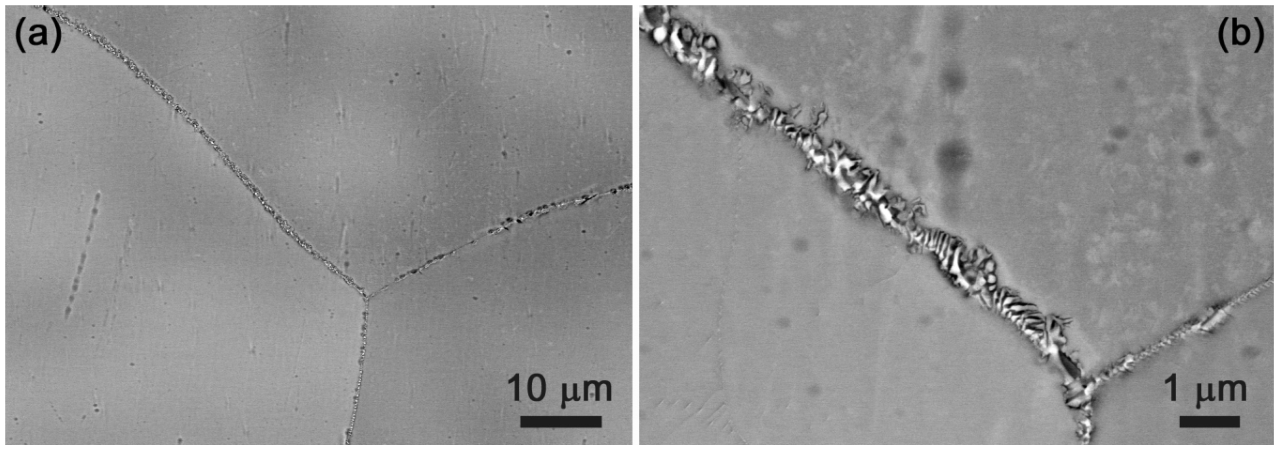 Metals 12 00394 g011 550