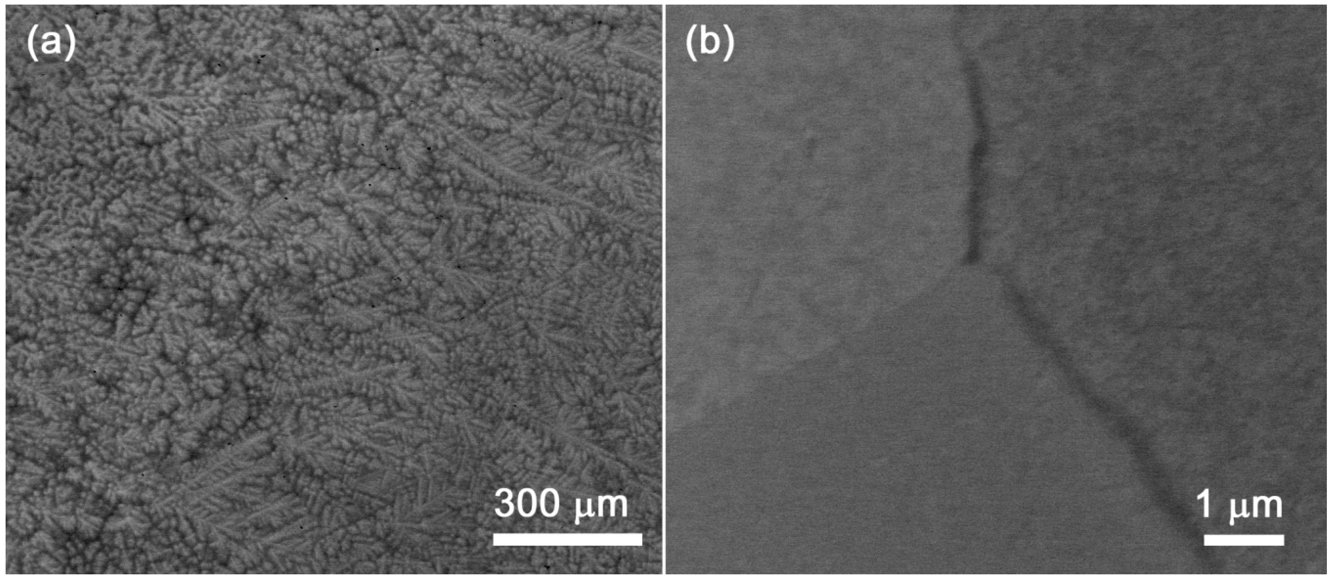 Metals 12 00394 g016 550