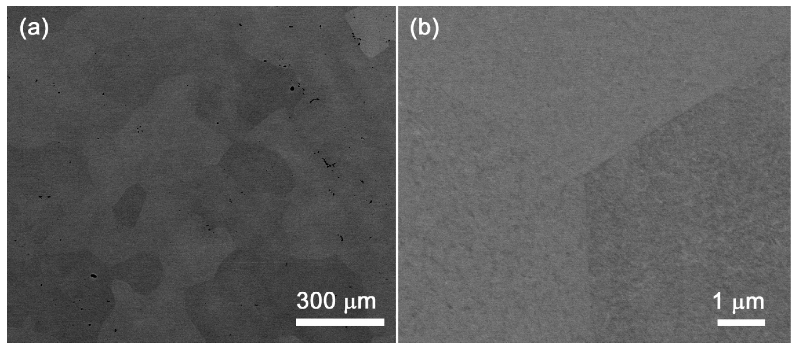 Metals 12 00394 g019 550