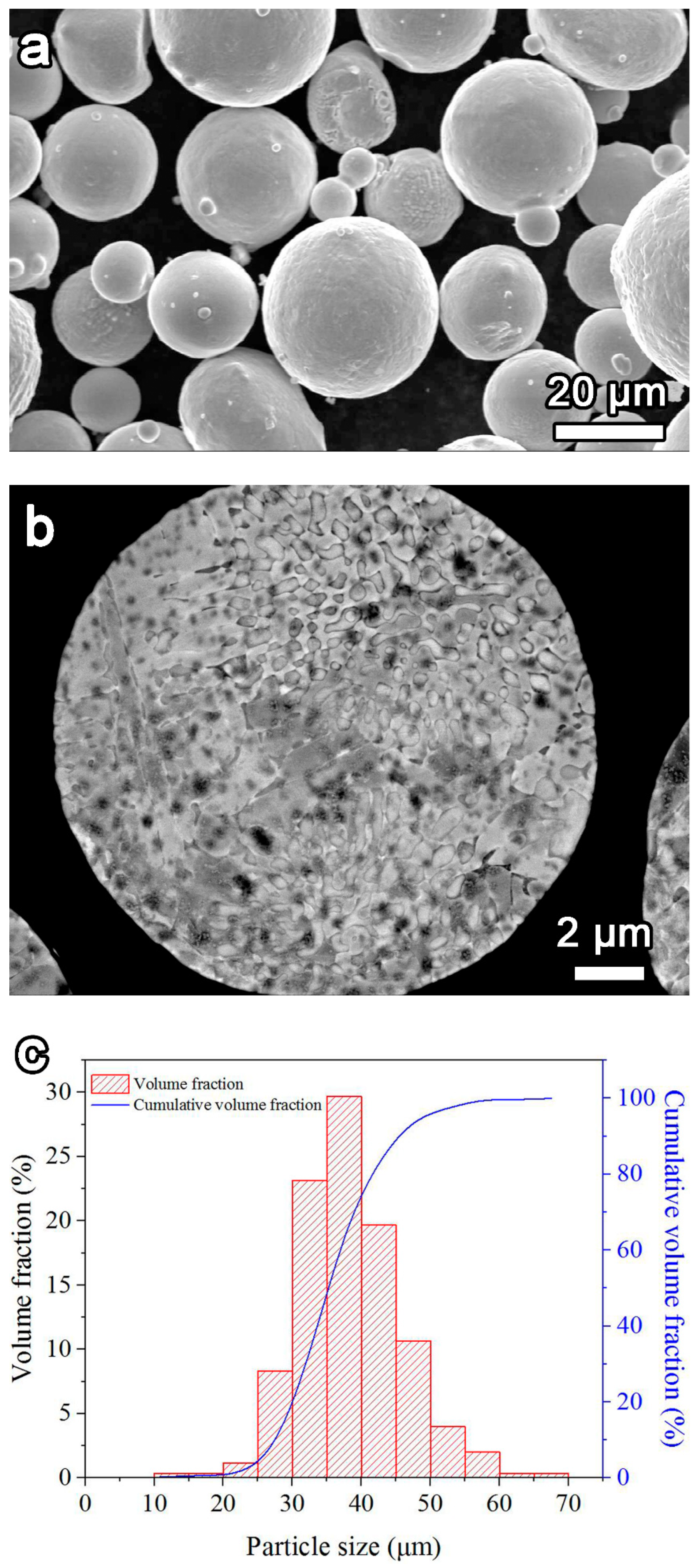 Metals 12 00396 g001 550