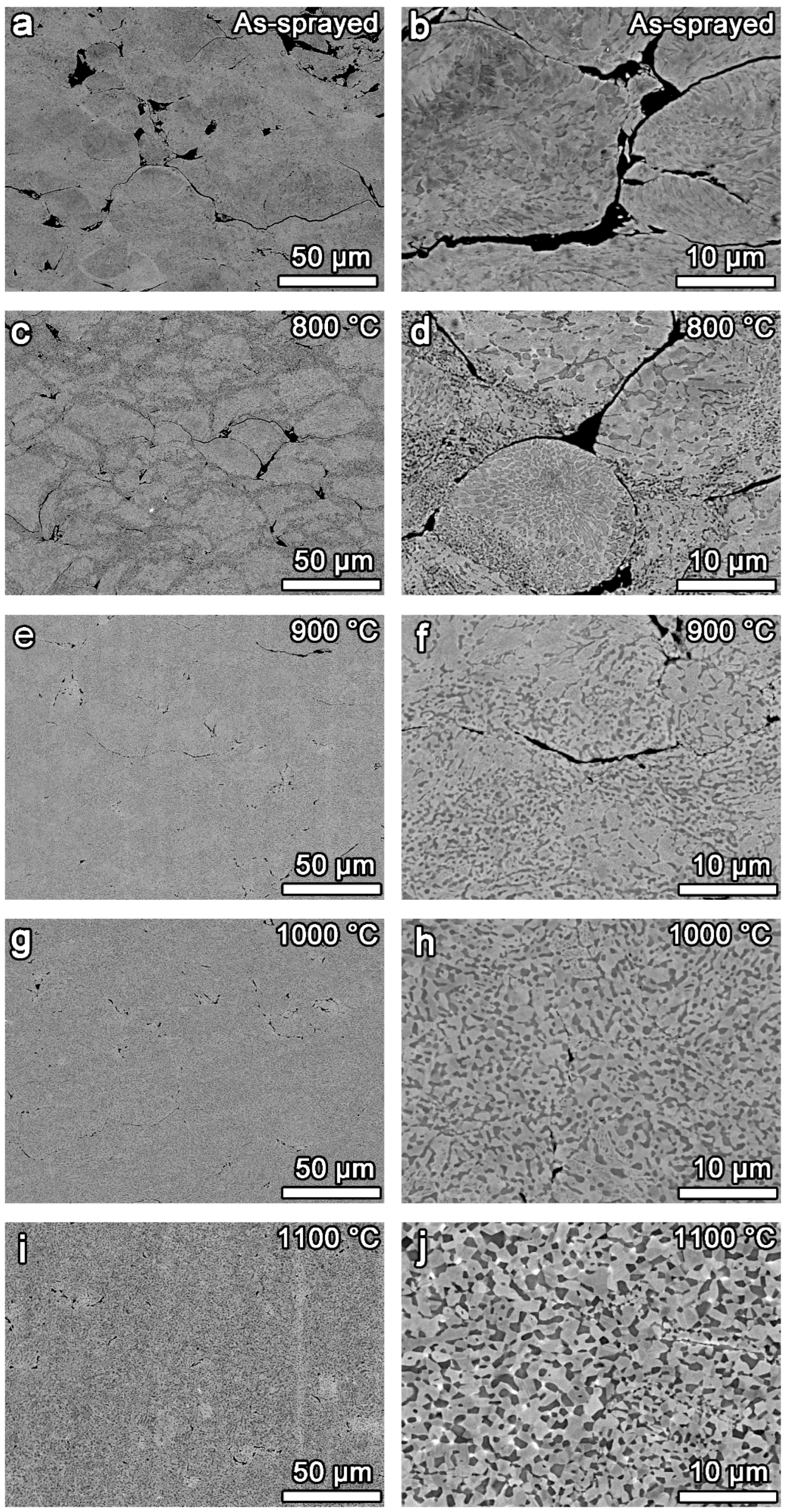 Metals 12 00396 g005 550