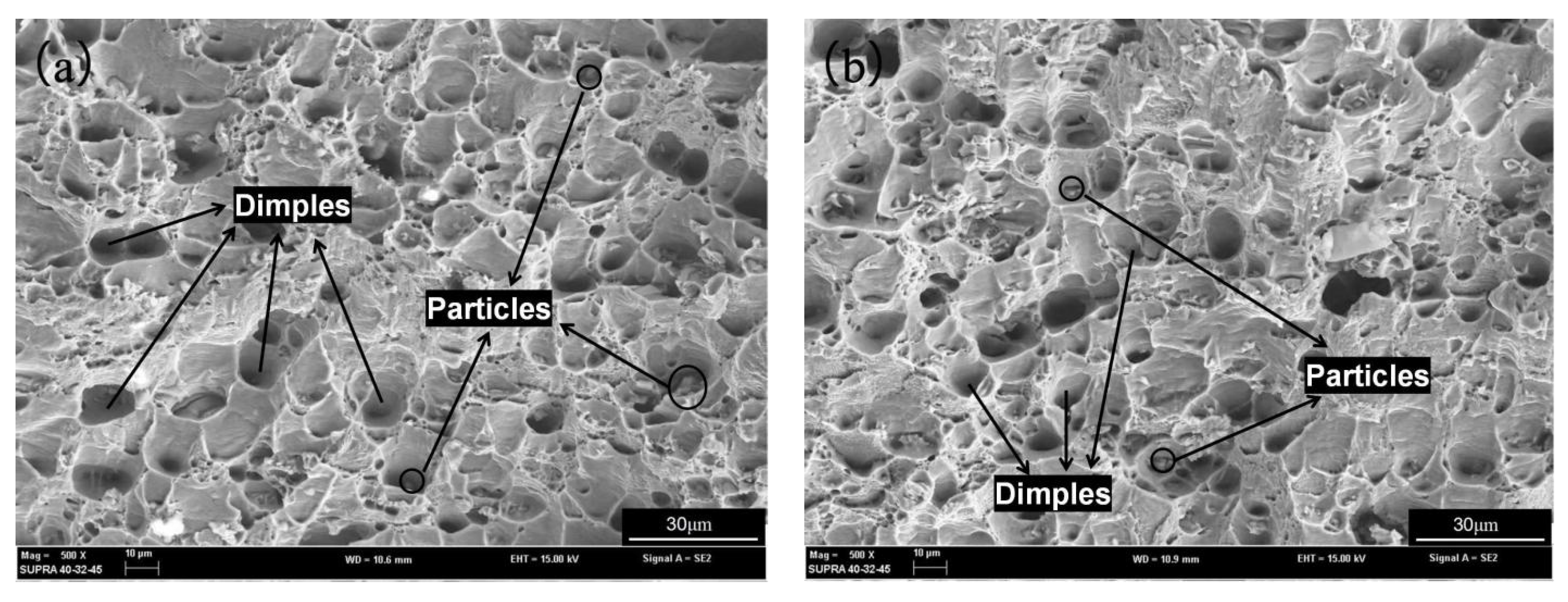 Metals 12 00408 g011a 550