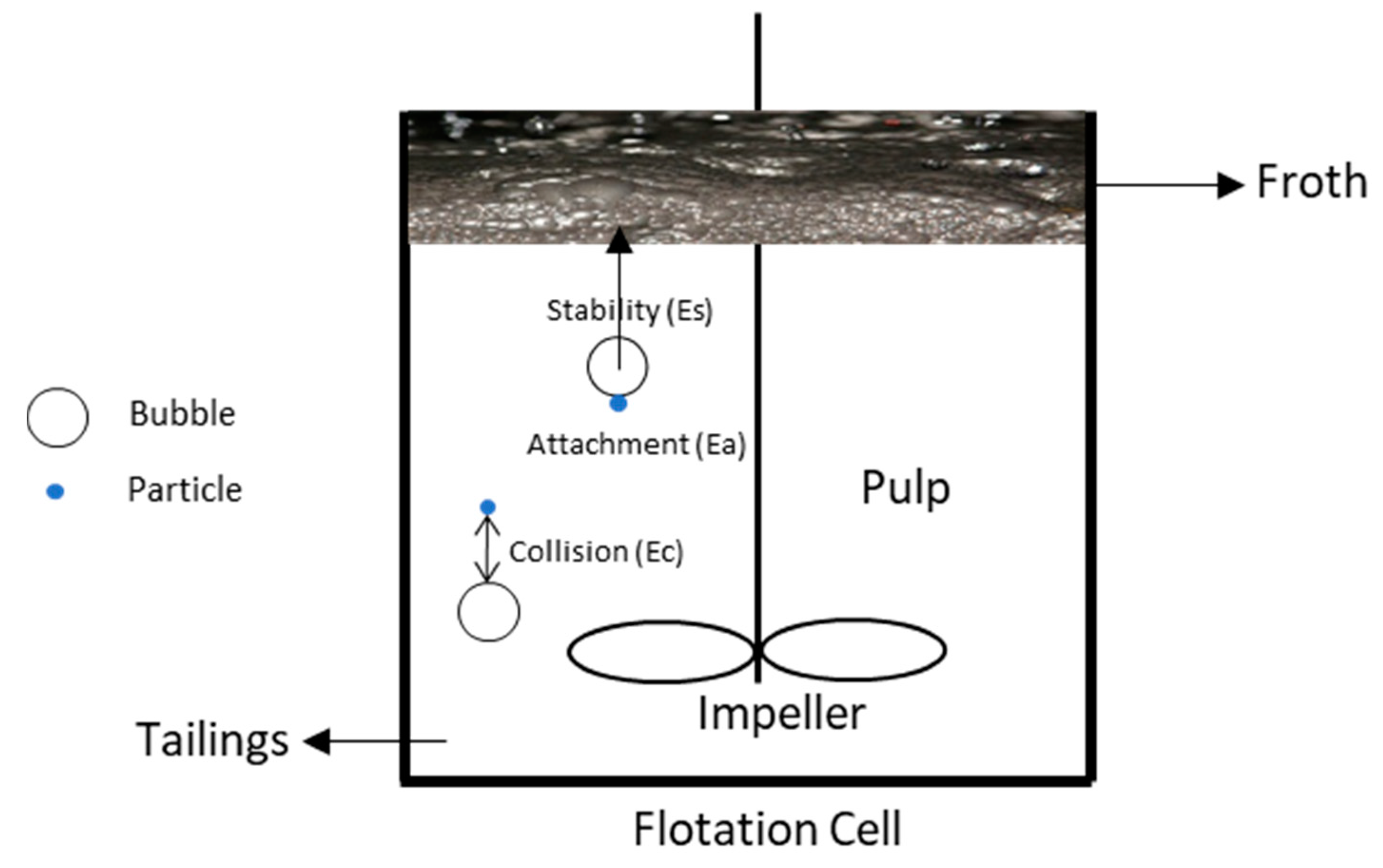 Metals 12 00409 g001
