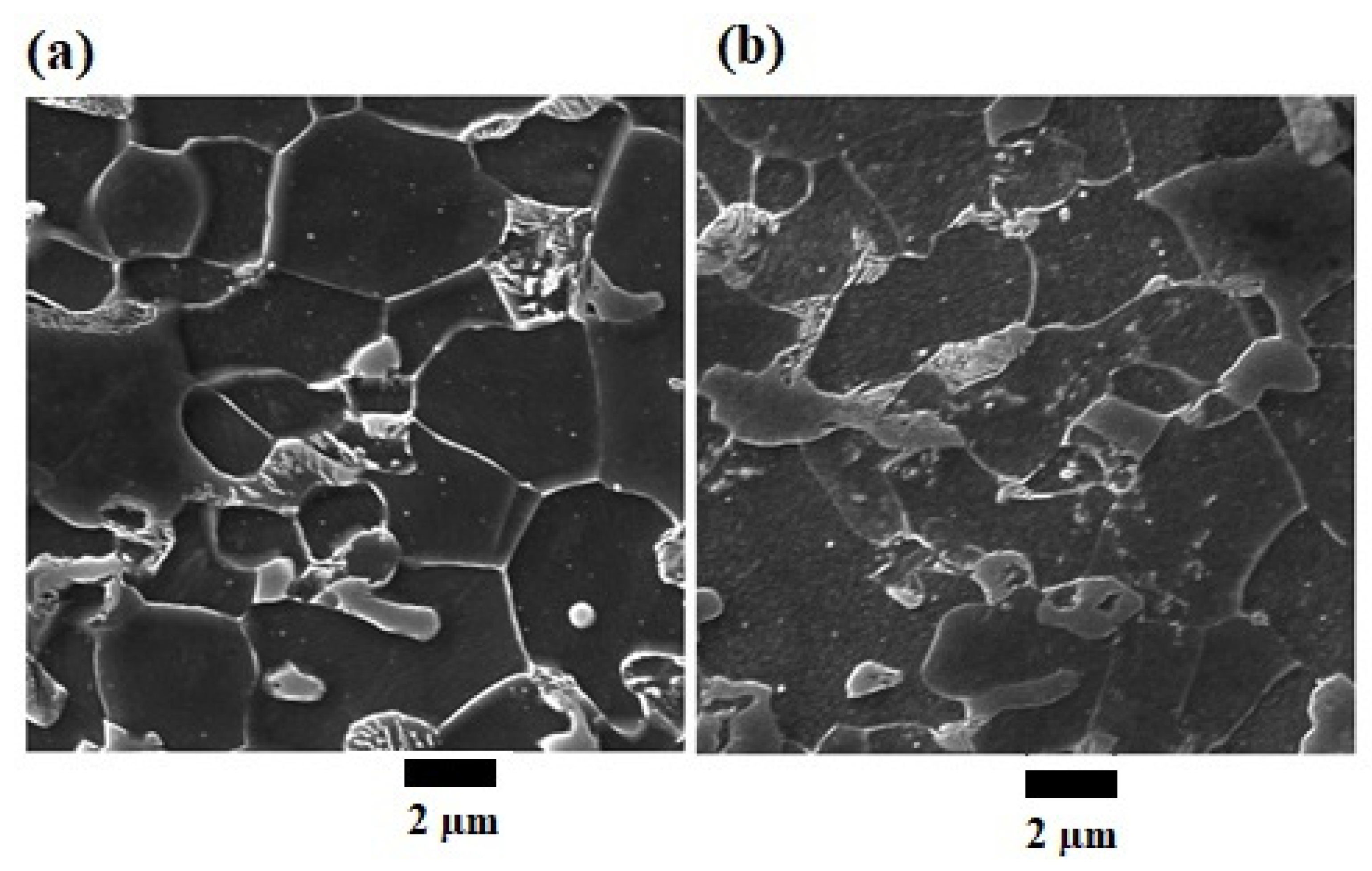 Metals 12 00414 g001 550