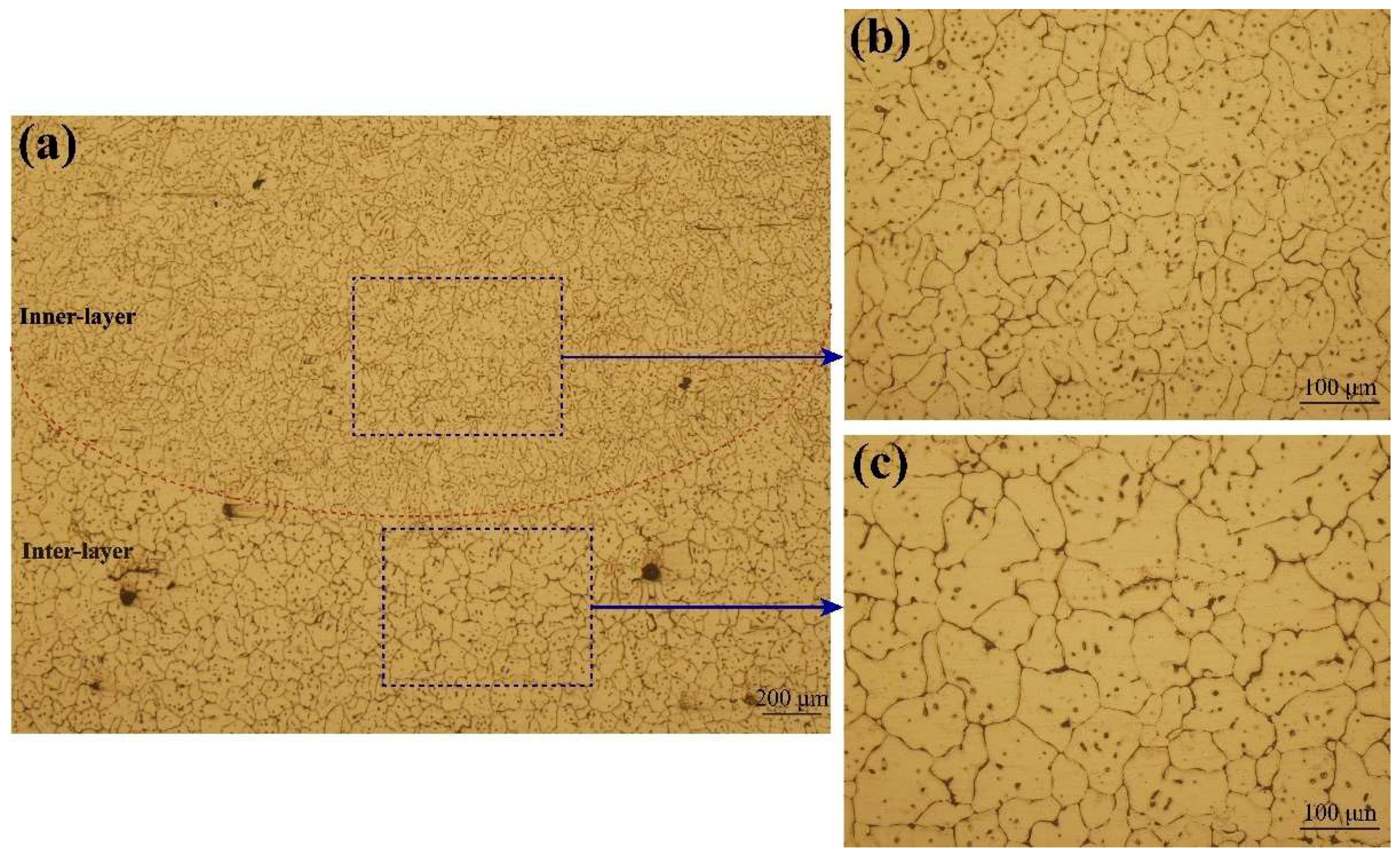 Metals 12 00416 g004