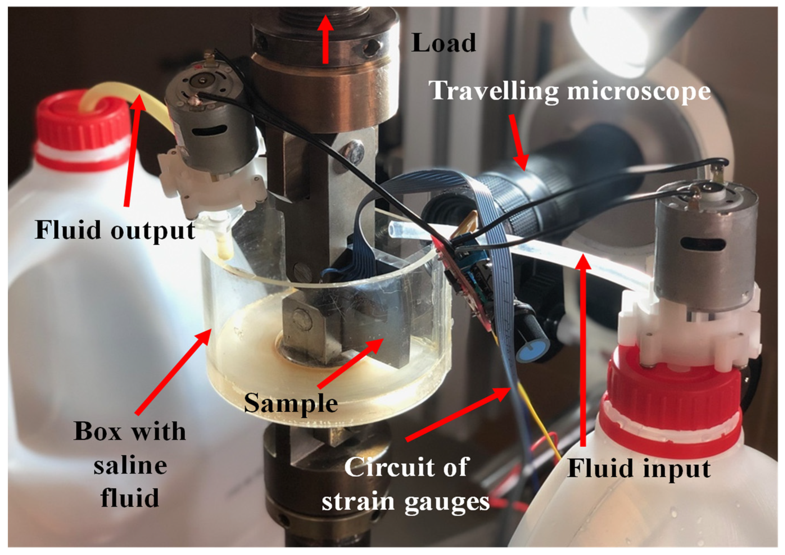 Metals 12 00433 g004 550