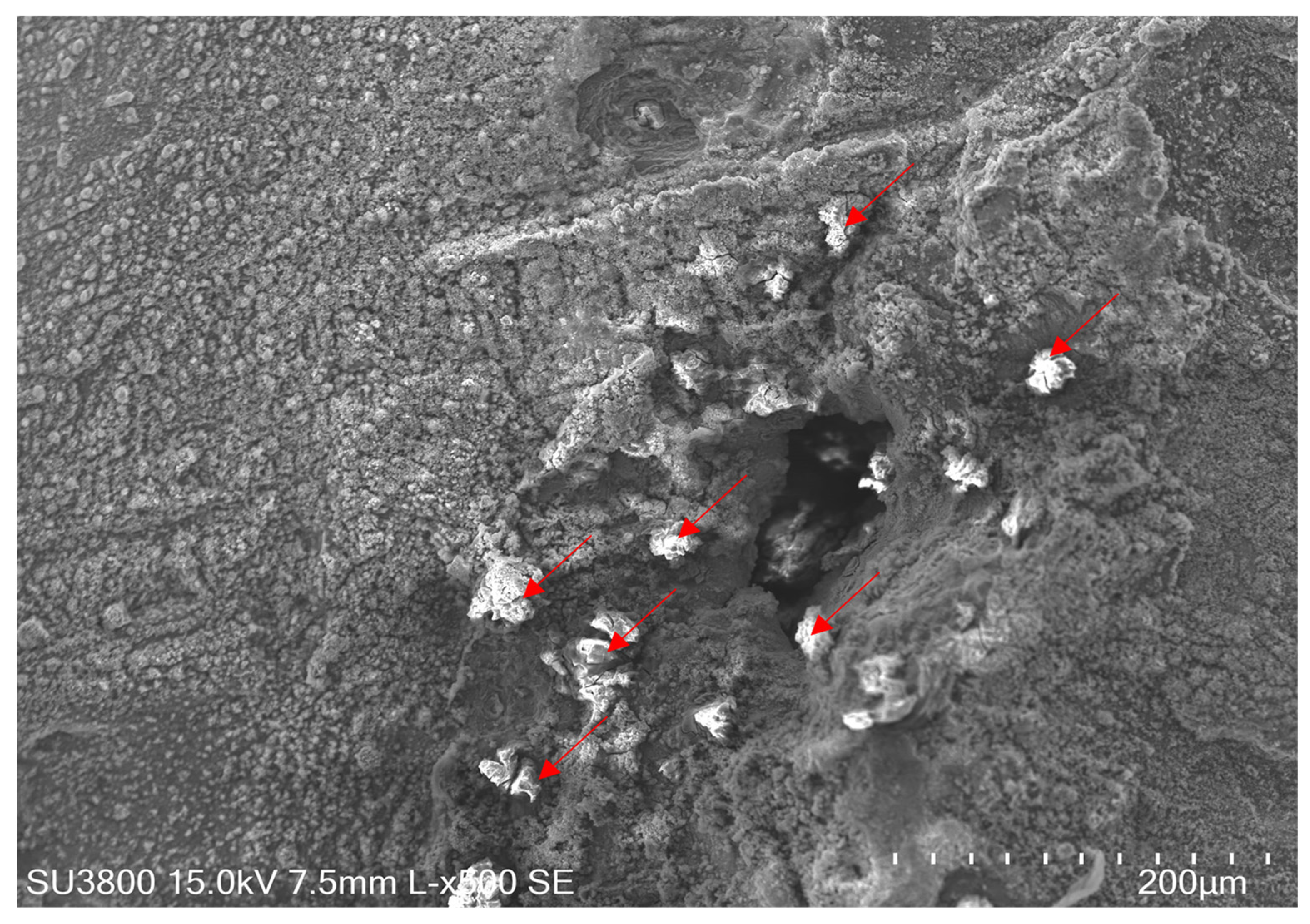 Metals 12 00433 g010 550