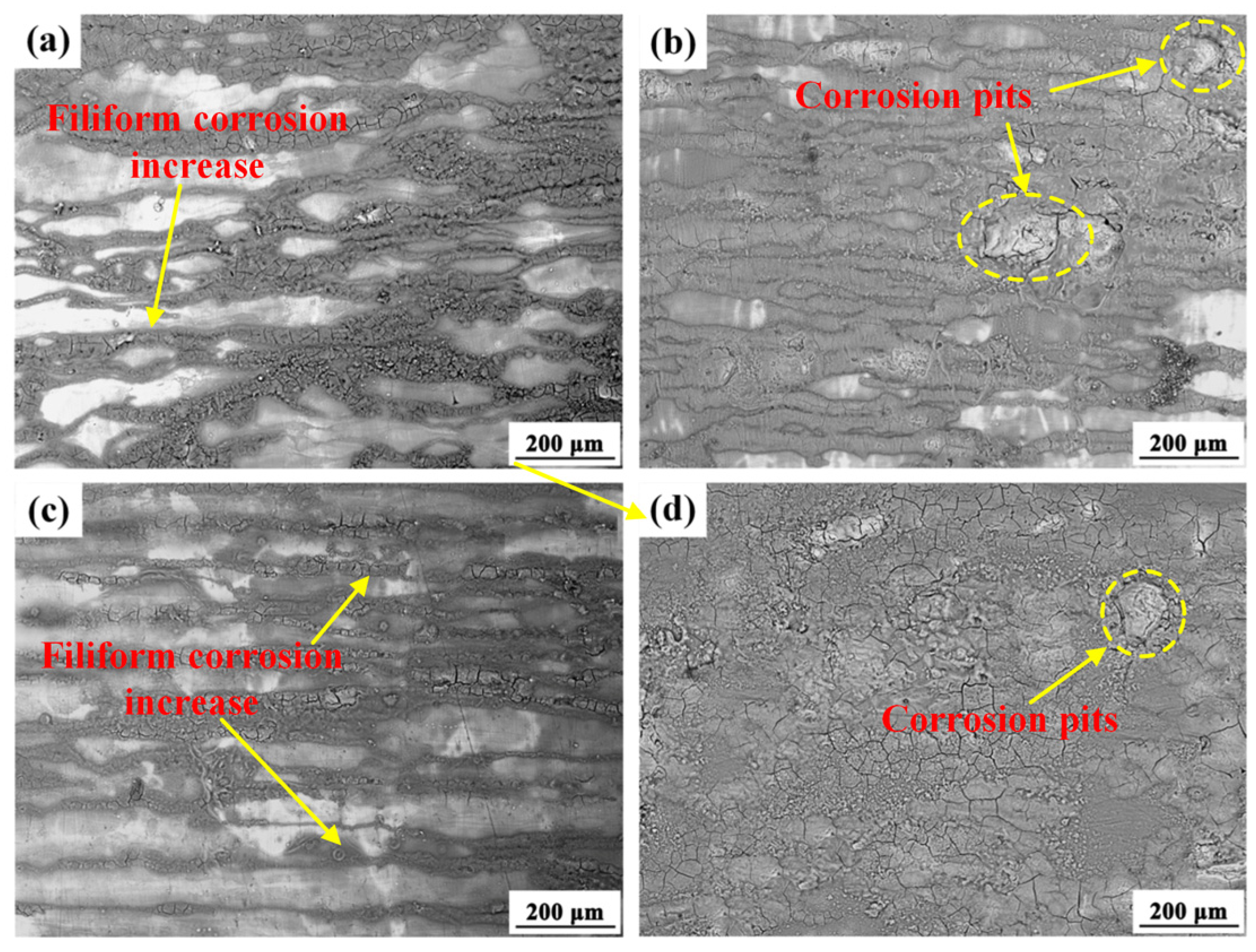 Metals 12 00449 g011