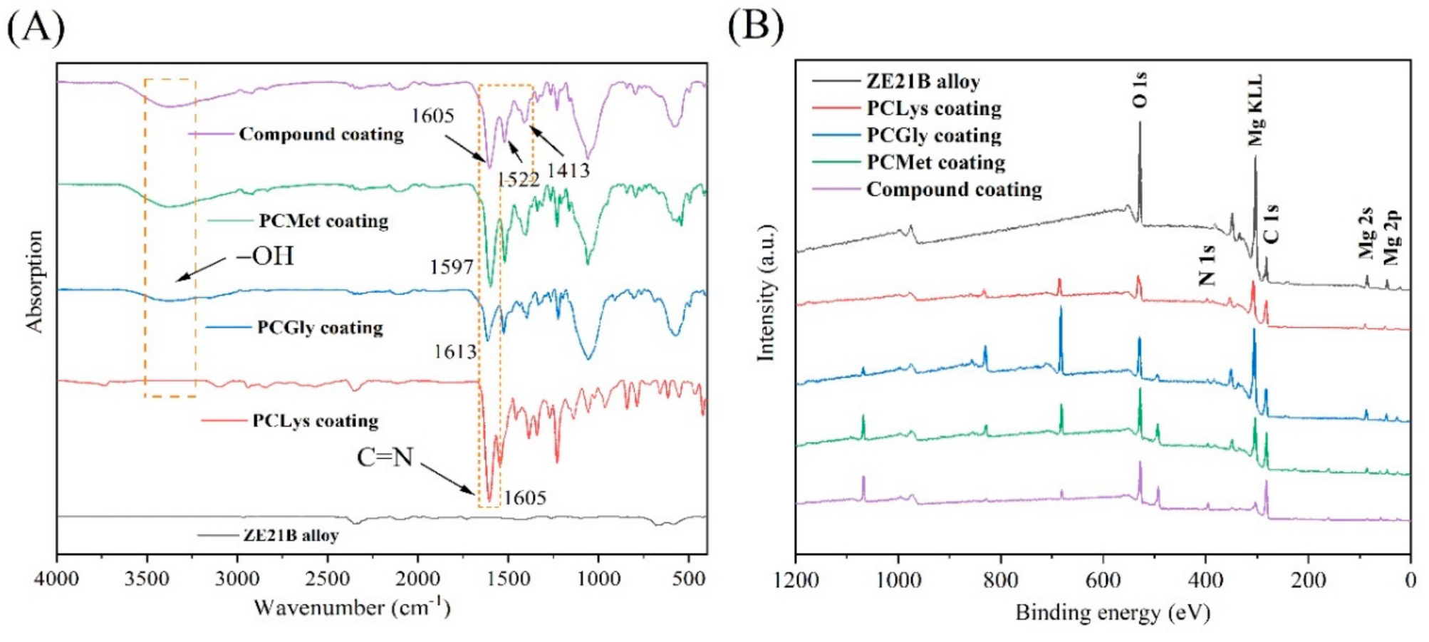 Tailoring of Biodegradable Magnesium Alloy Surface with