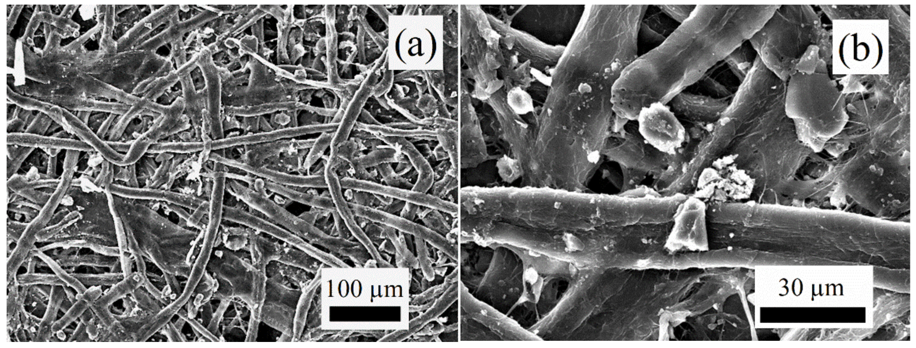 Metals 12 00472 g004