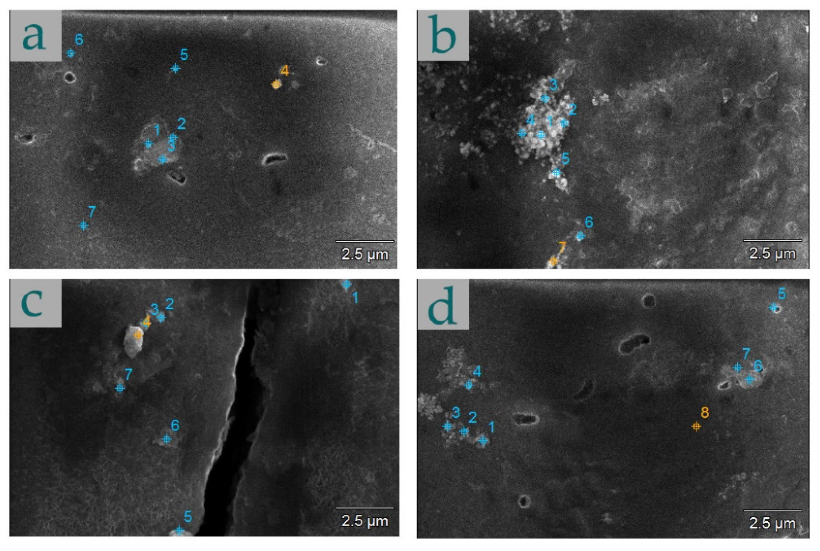 Metals 12 00474 g006 550