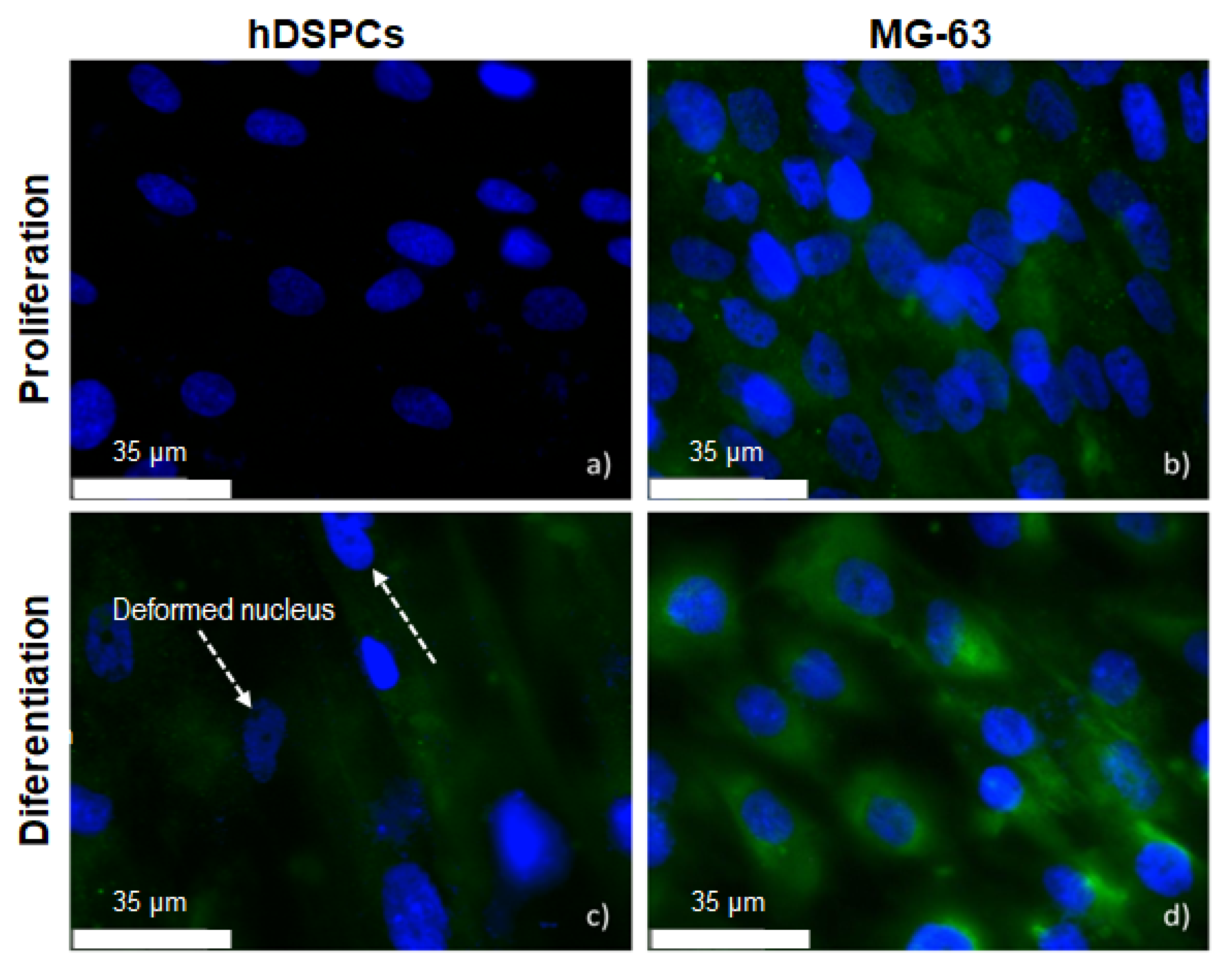 Metals 12 00476 g011 550