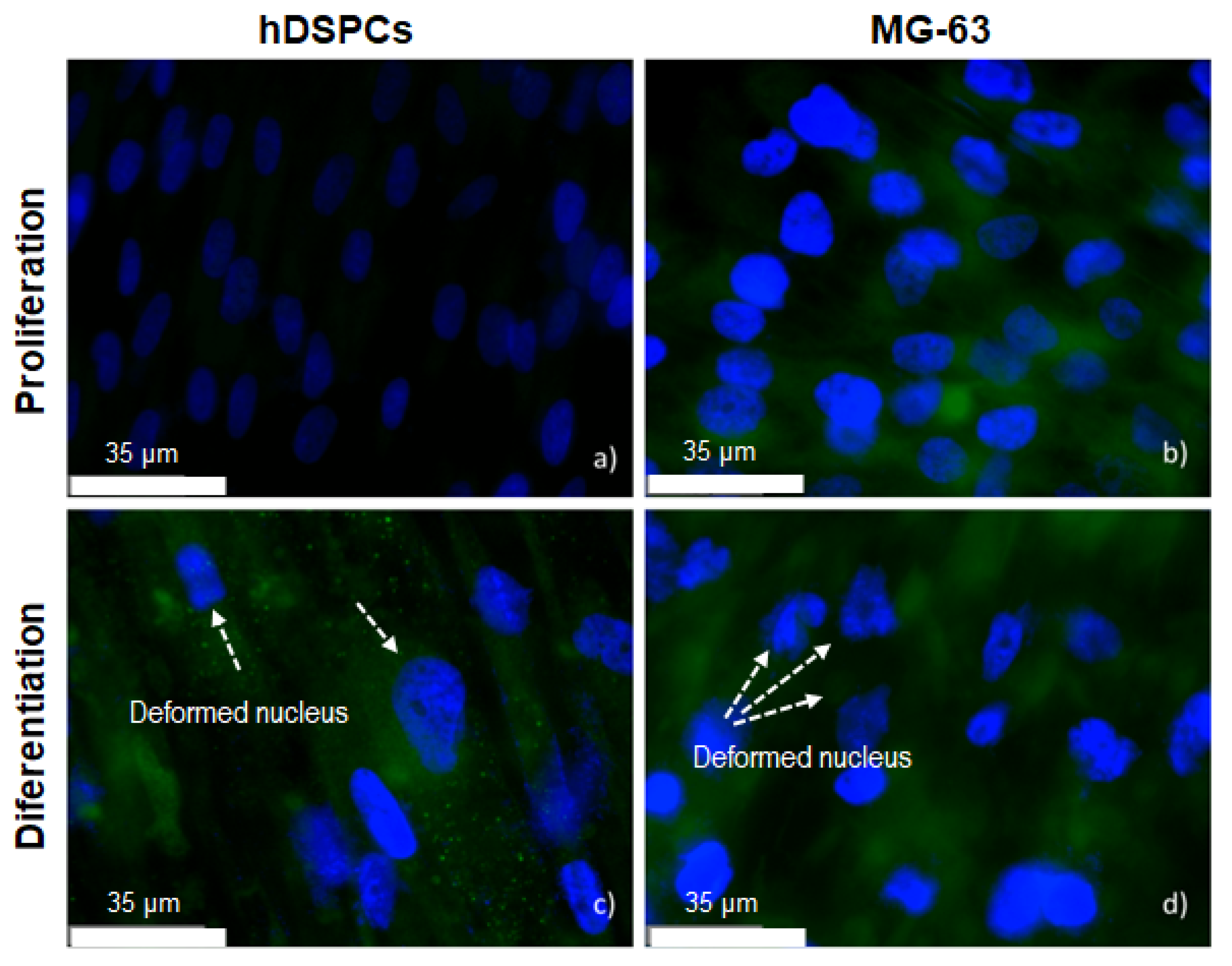 Metals 12 00476 g012 550