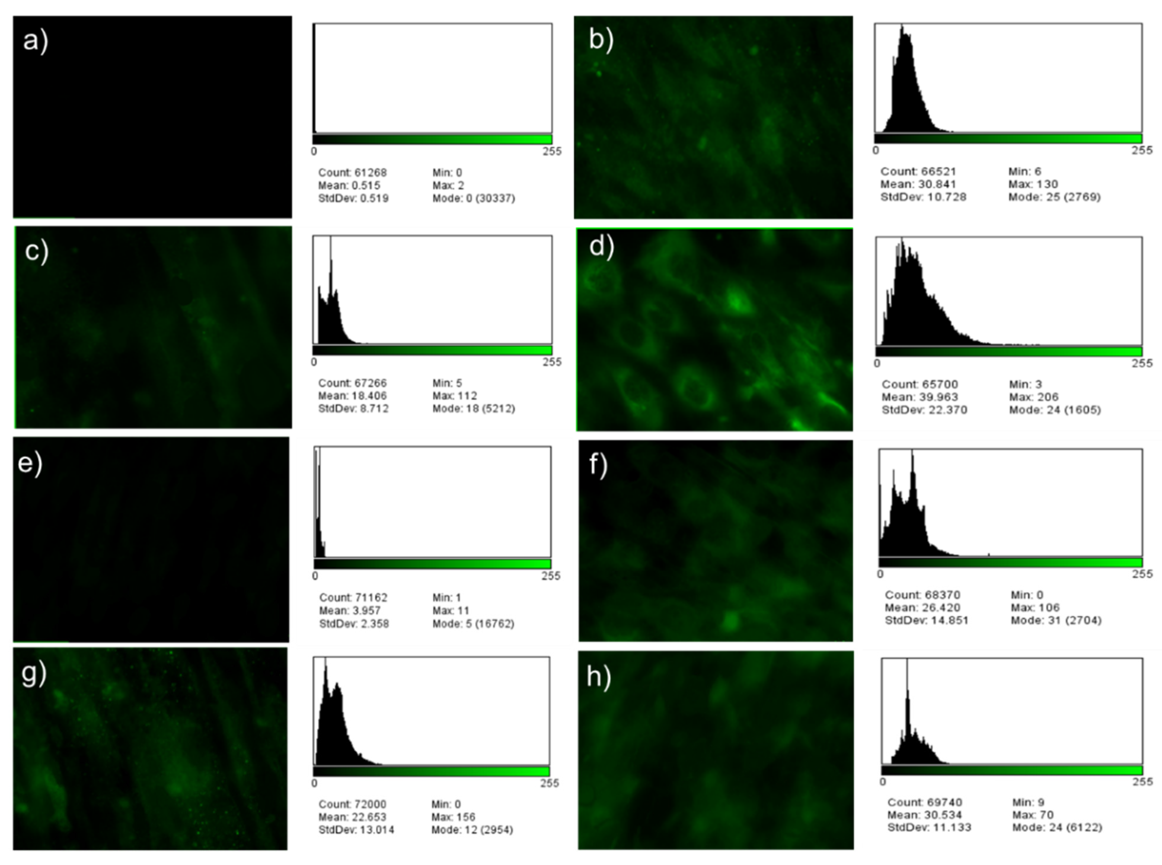 Metals 12 00476 g013 550