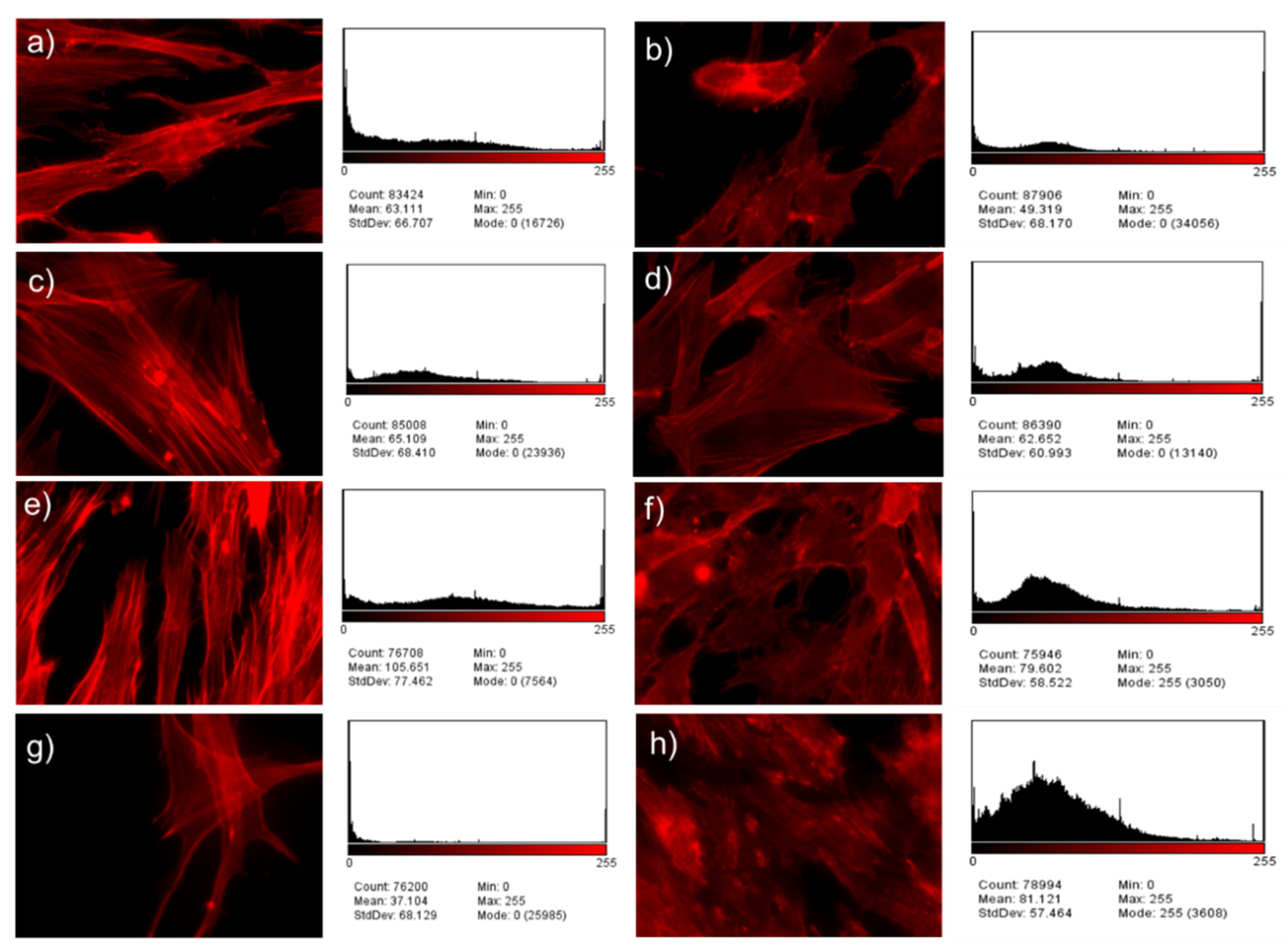 Metals 12 00476 g017 550