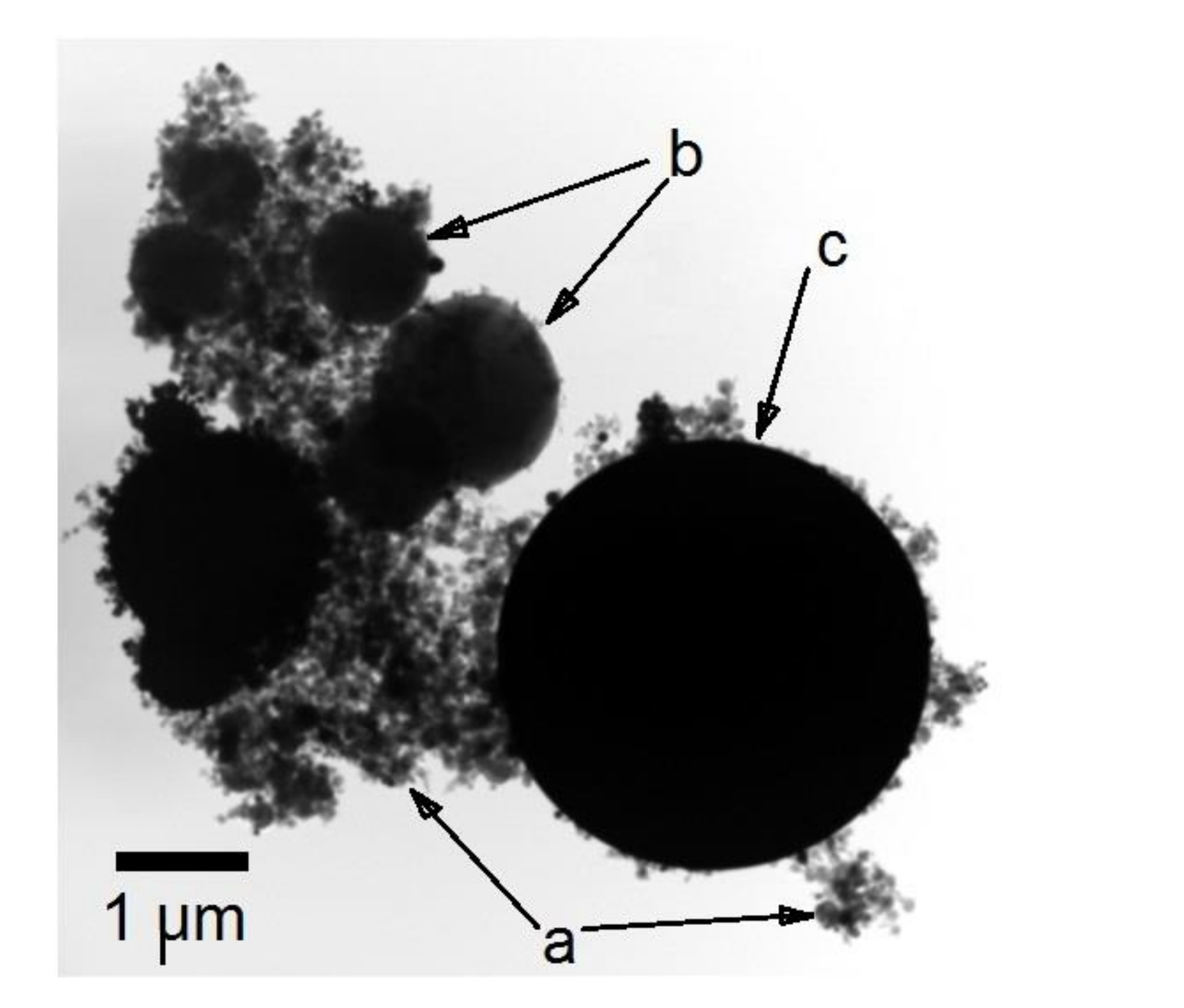 Metals 12 00478 g003 550