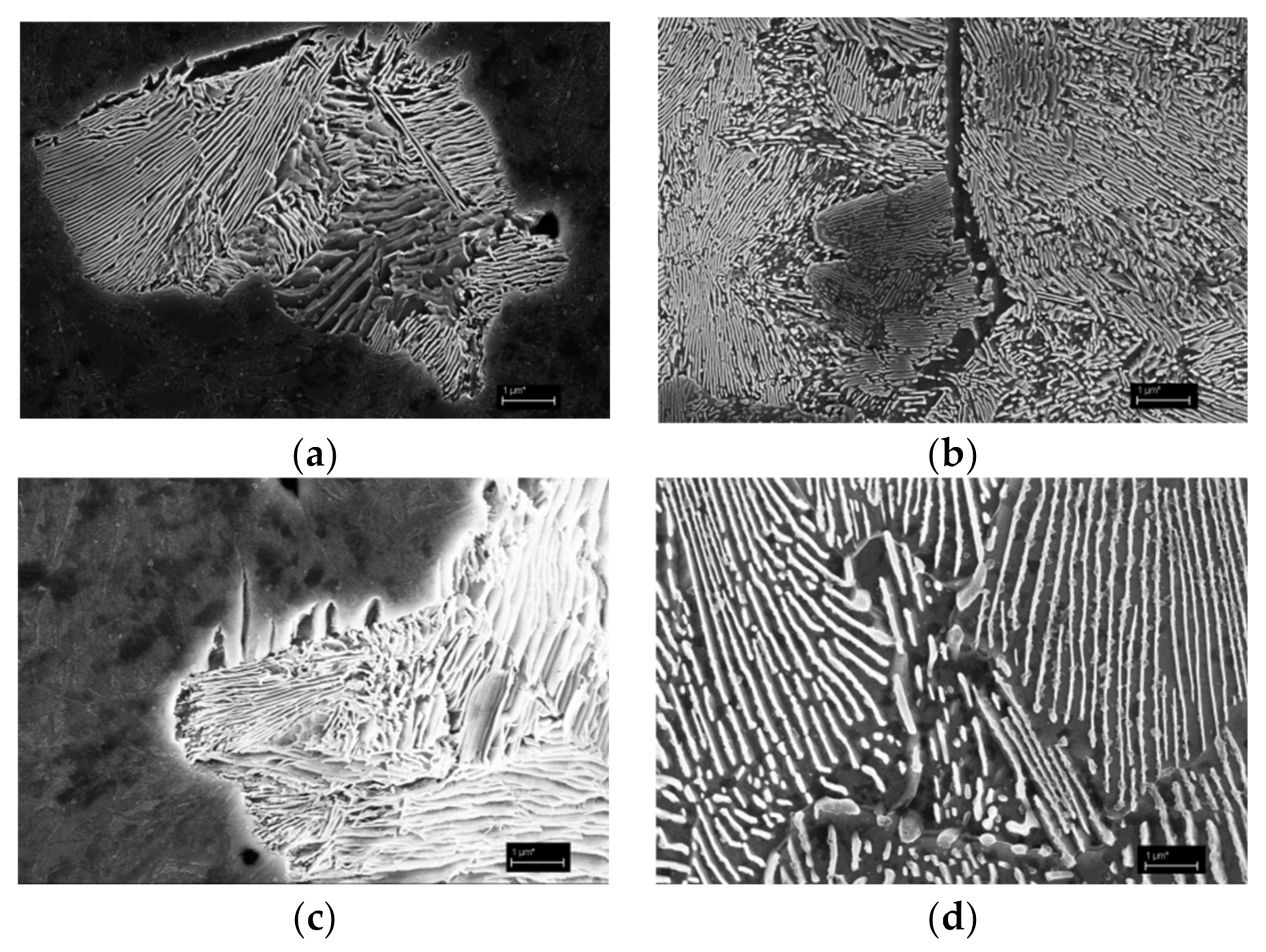 Metals Free FullText Formation of Widmanstätten Ferrite and Grain Boundary Ferrite in a