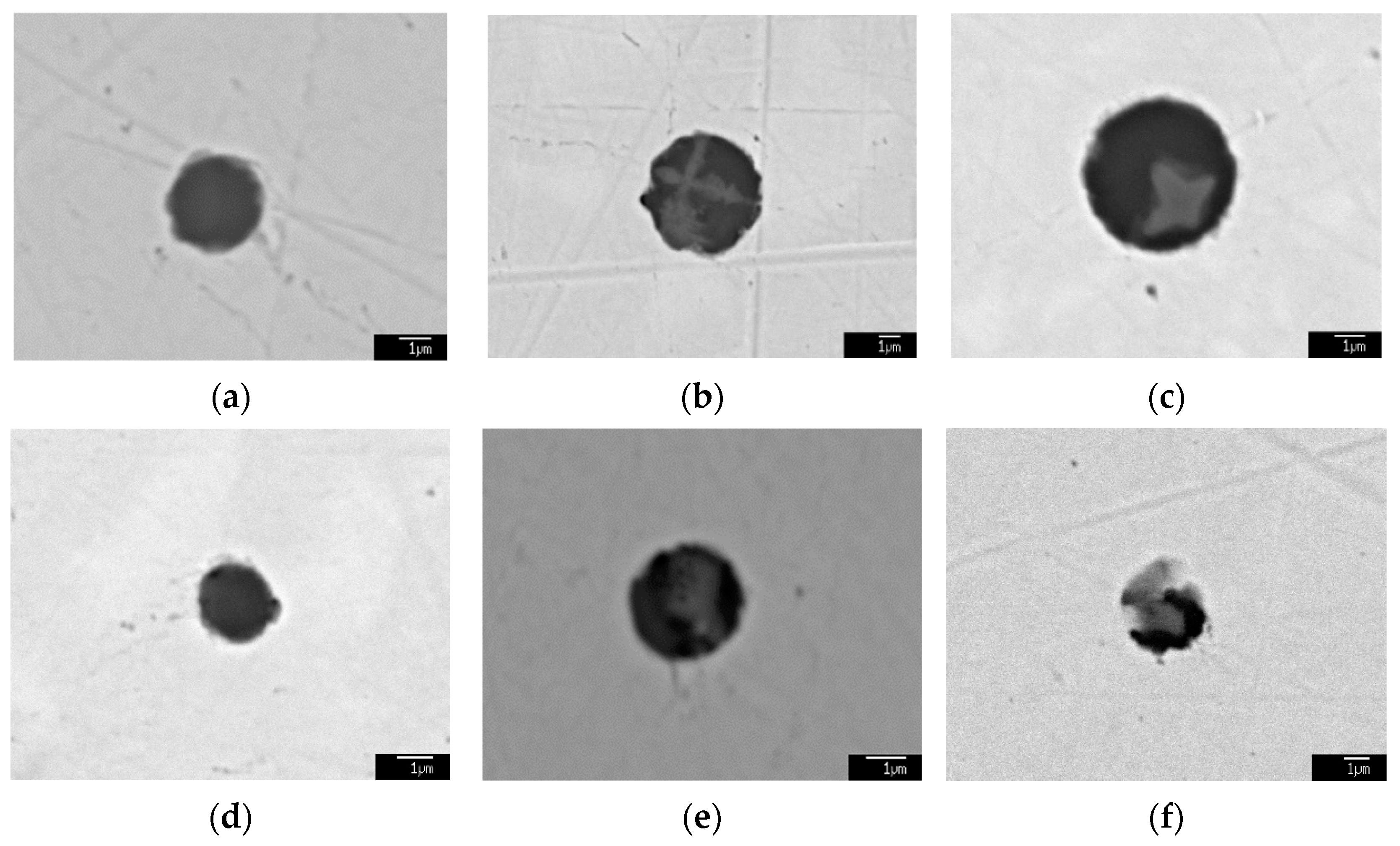 Metals 12 00511 g007