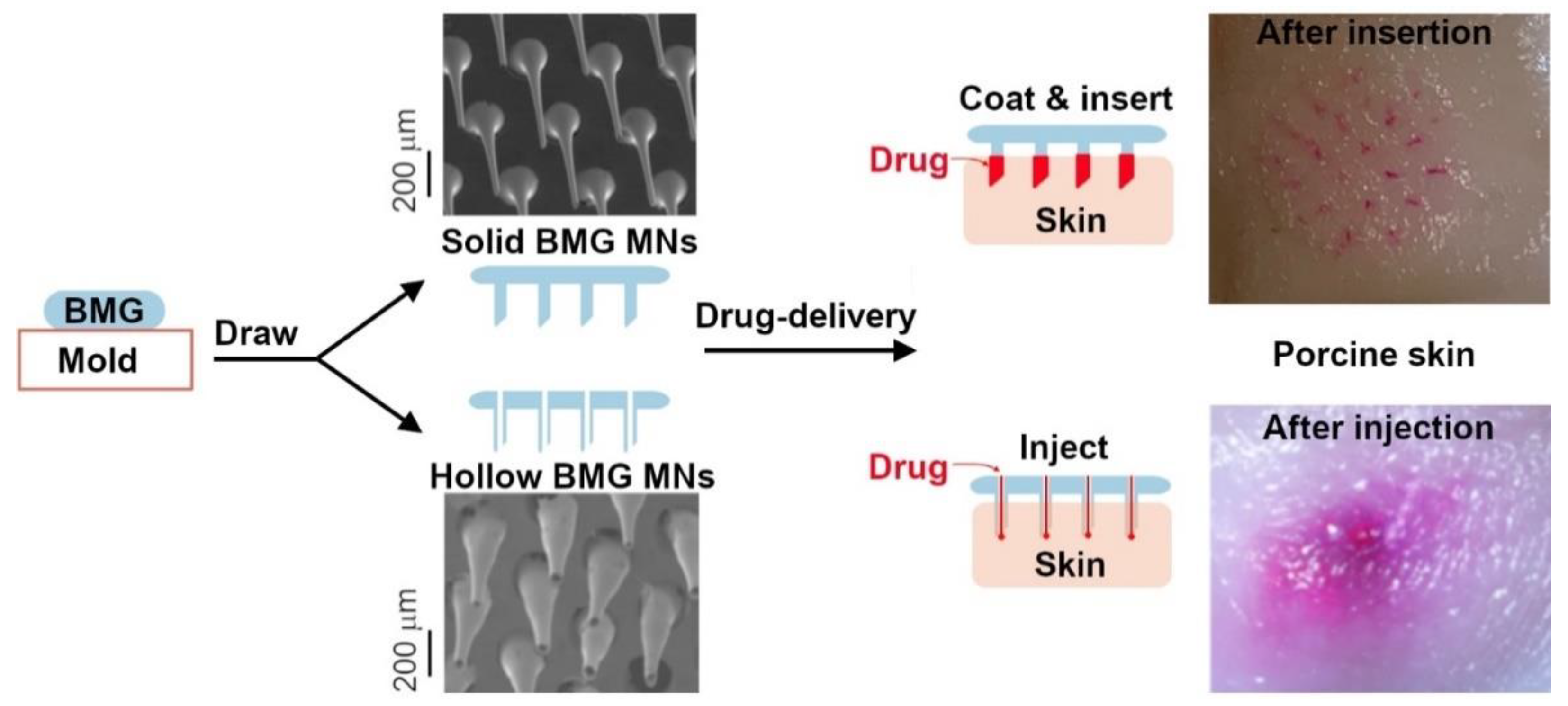 Metals 12 00518 g007 550