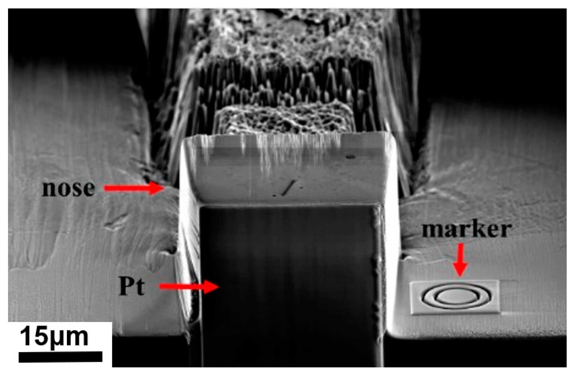 Metals 12 00523 g002