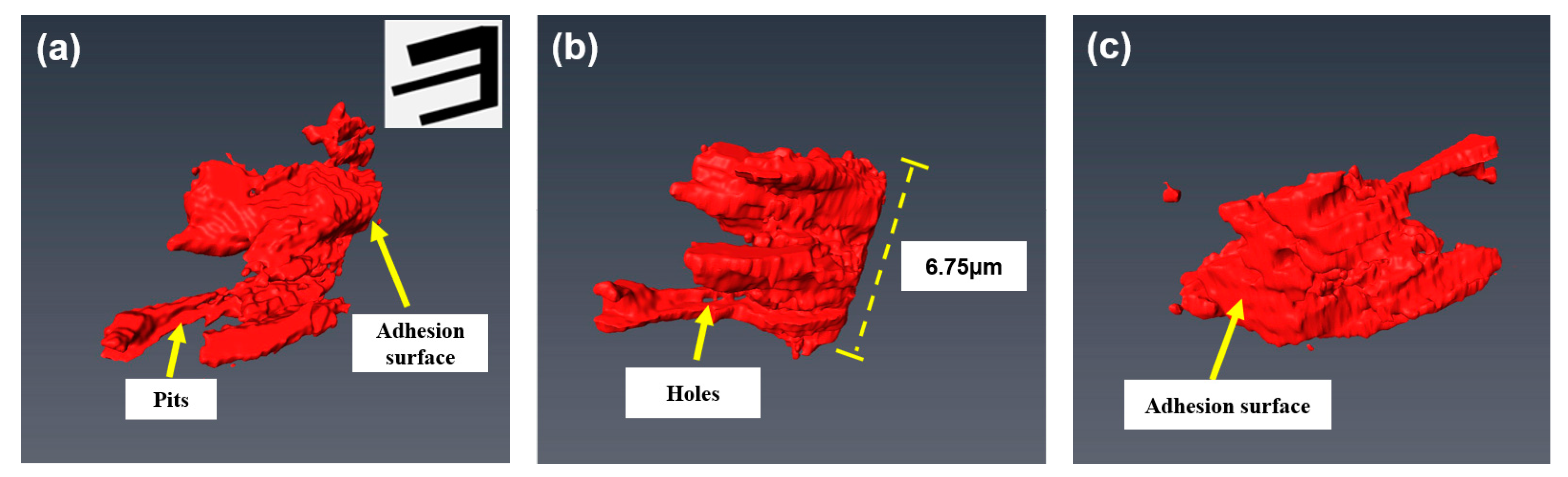 Metals 12 00523 g006