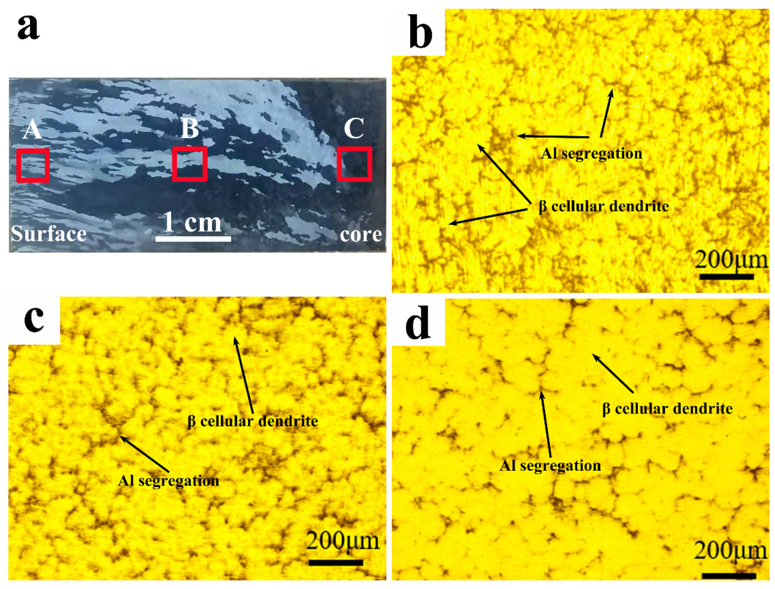 Metals 12 00524 g006 550