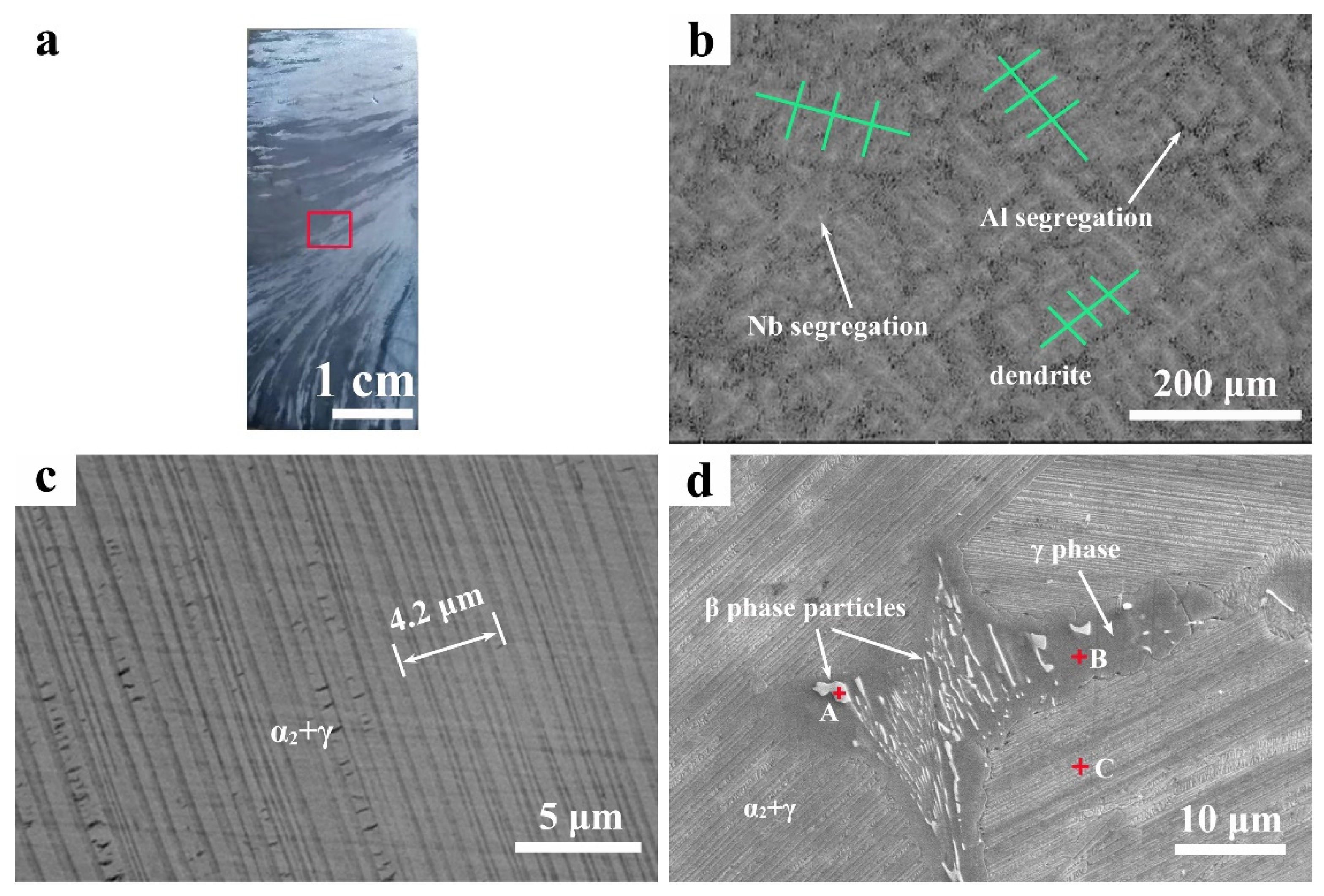 Metals 12 00524 g008 550
