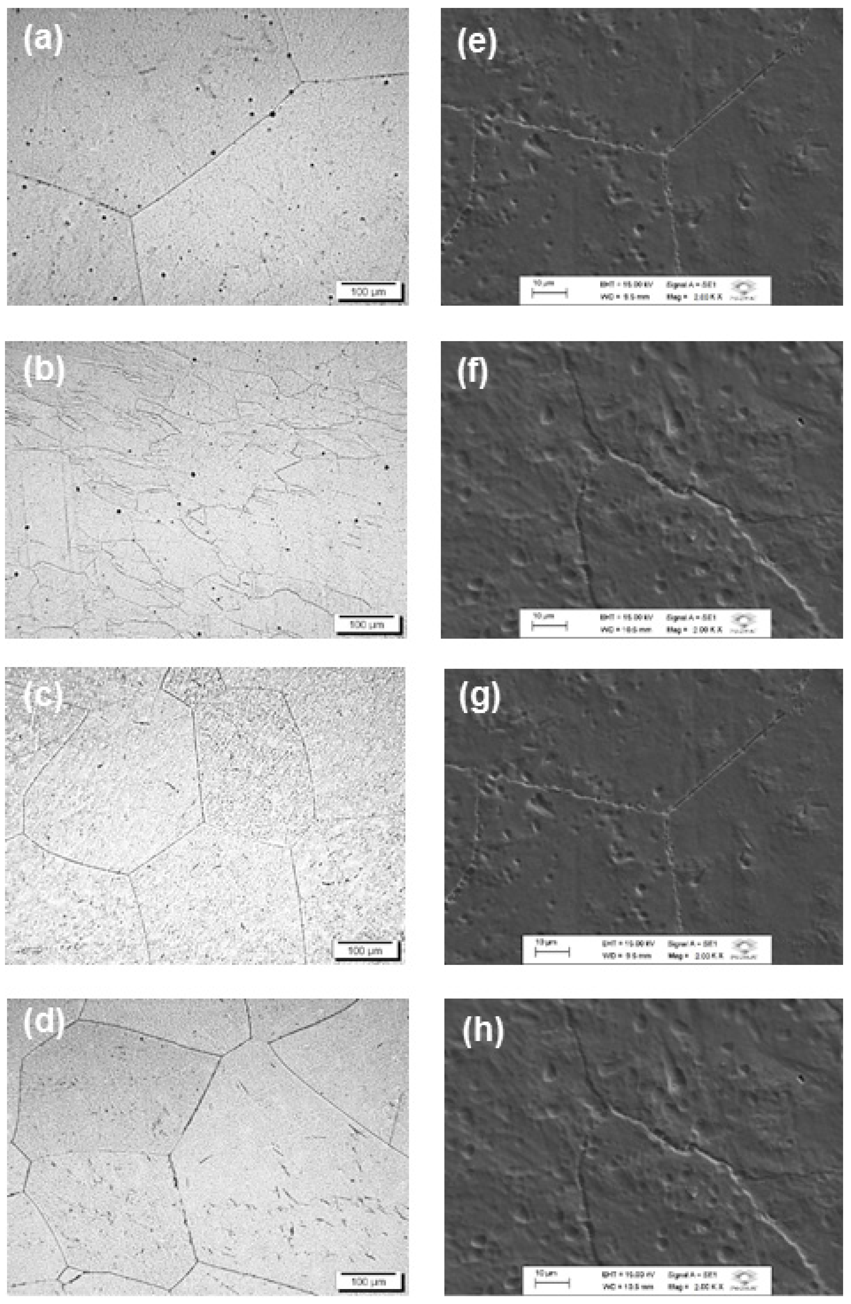 Metals 12 00527 g003 550