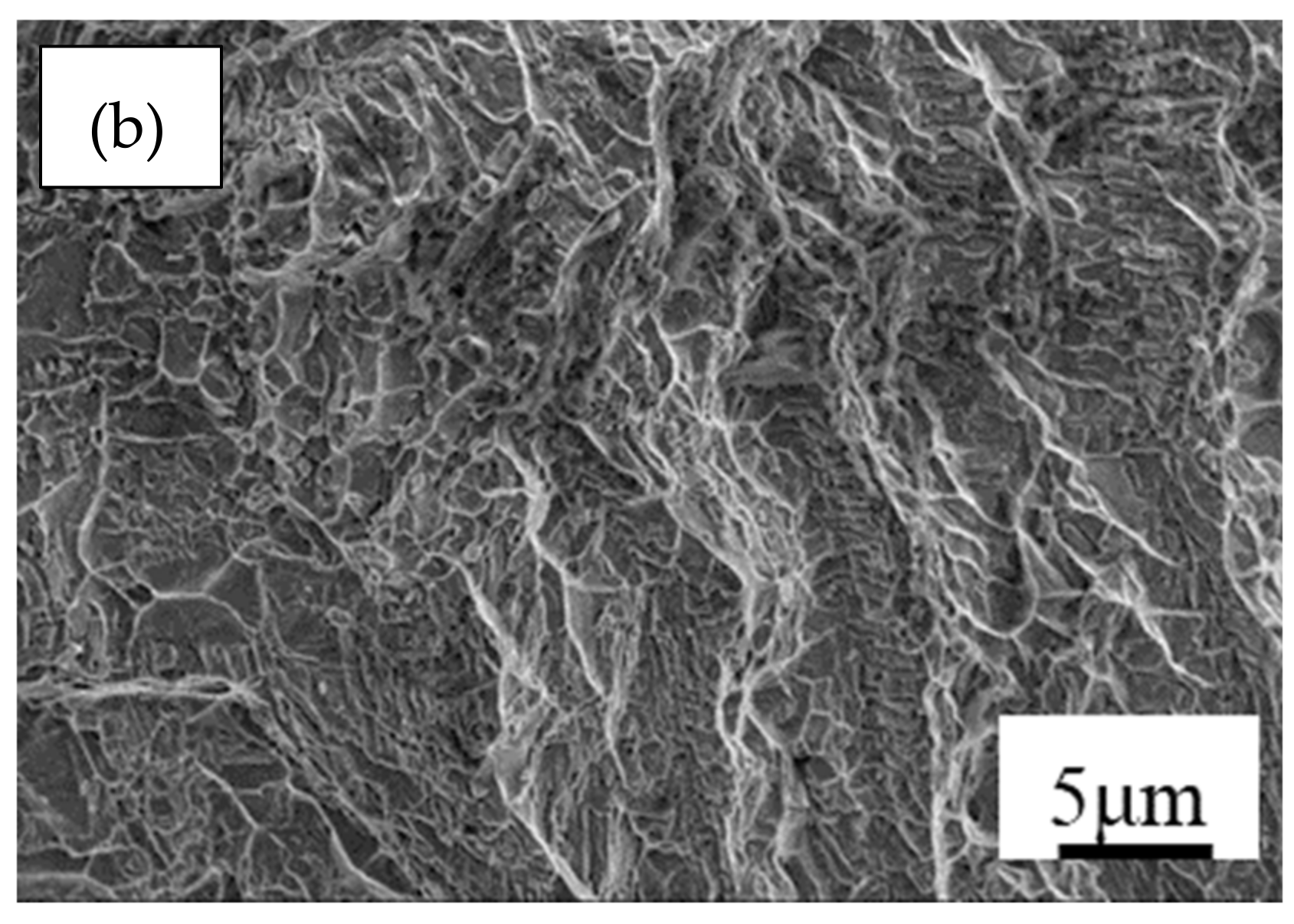 Metals 12 00537 g009b