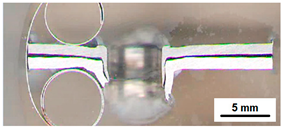 Metals 12 00540 i031