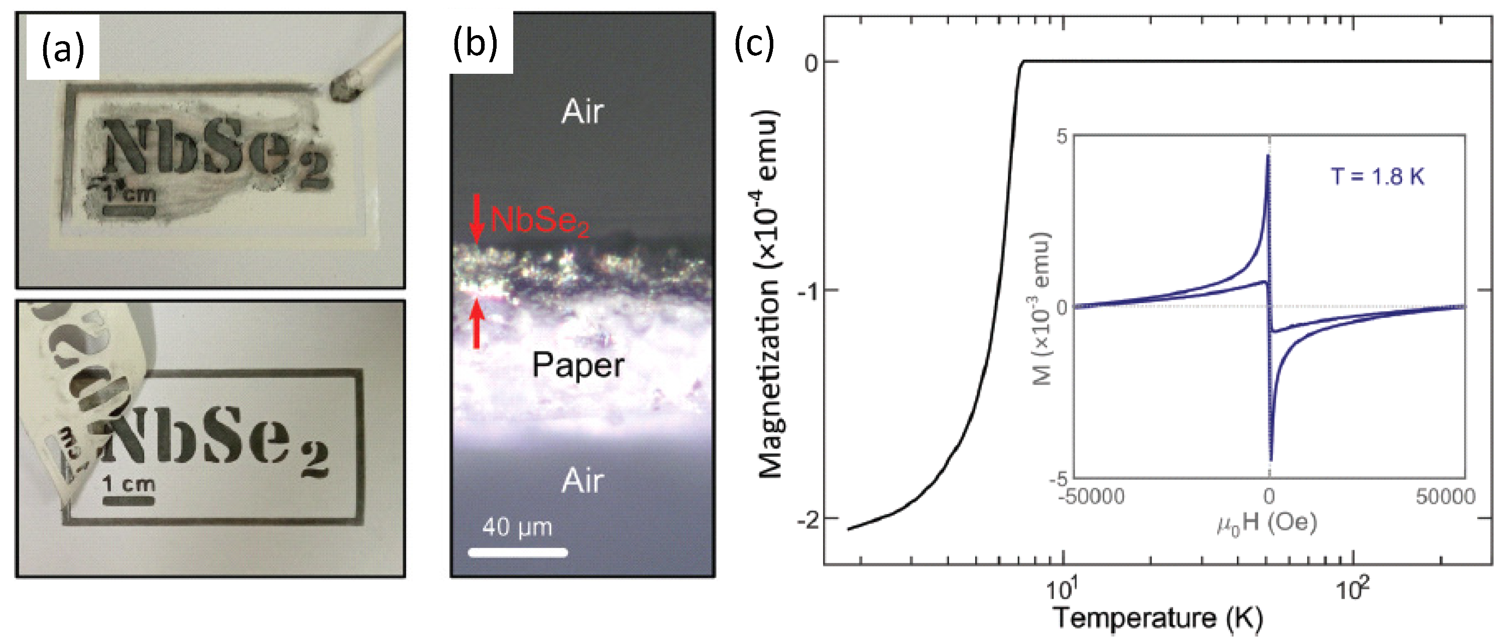 Metals 12 00568 g005 550