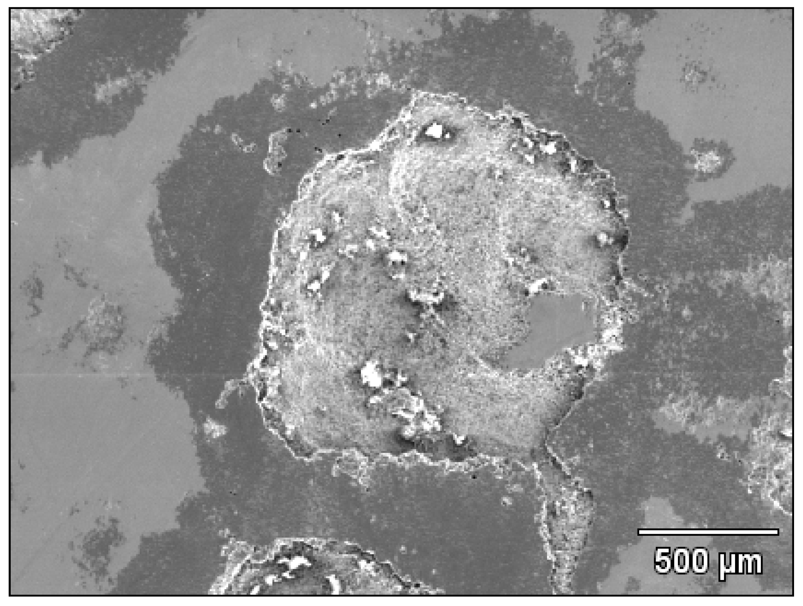 Metals 12 00576 g007 550