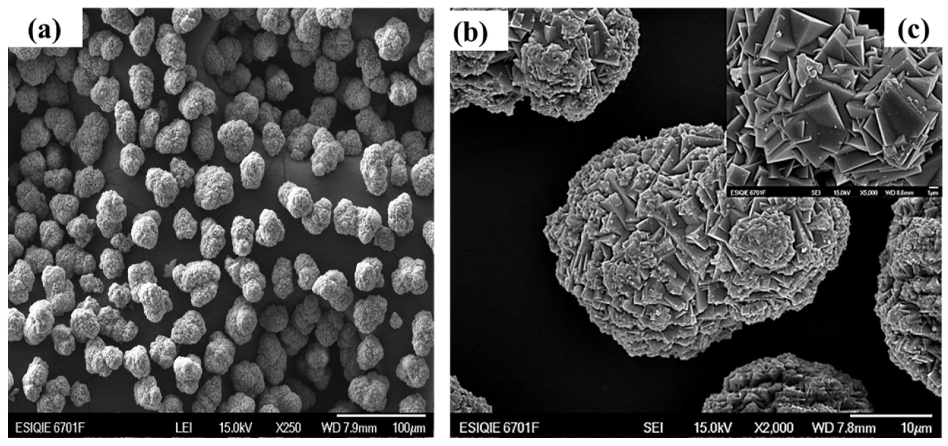 Metals 12 00584 g001