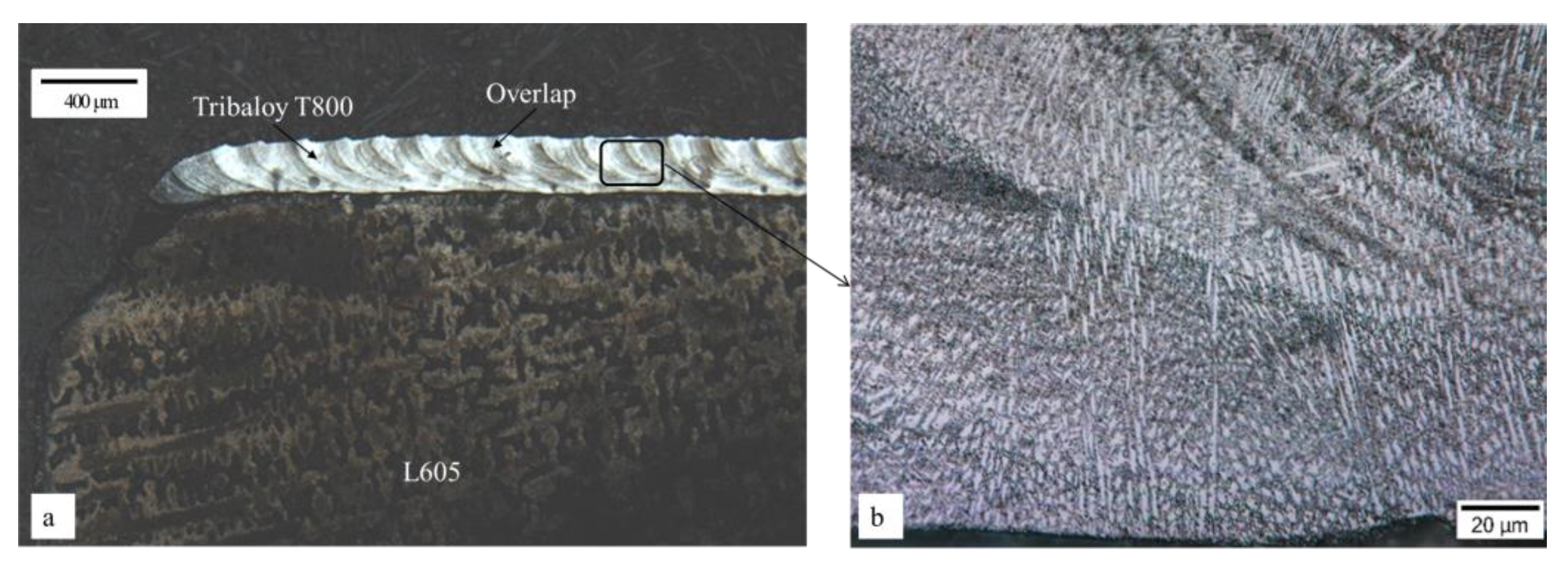 Metals 12 00586 g007 550